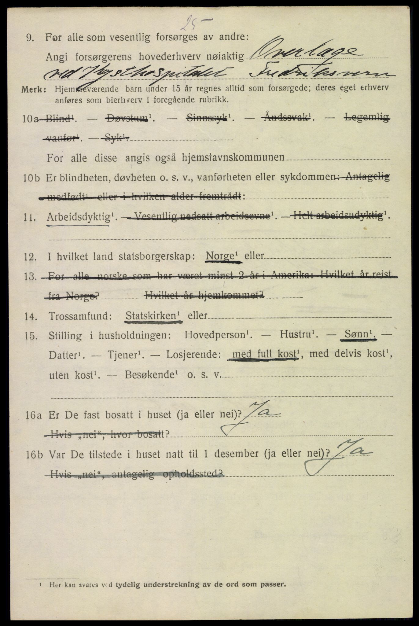 SAKO, 1920 census for Fredriksvern, 1920, p. 382