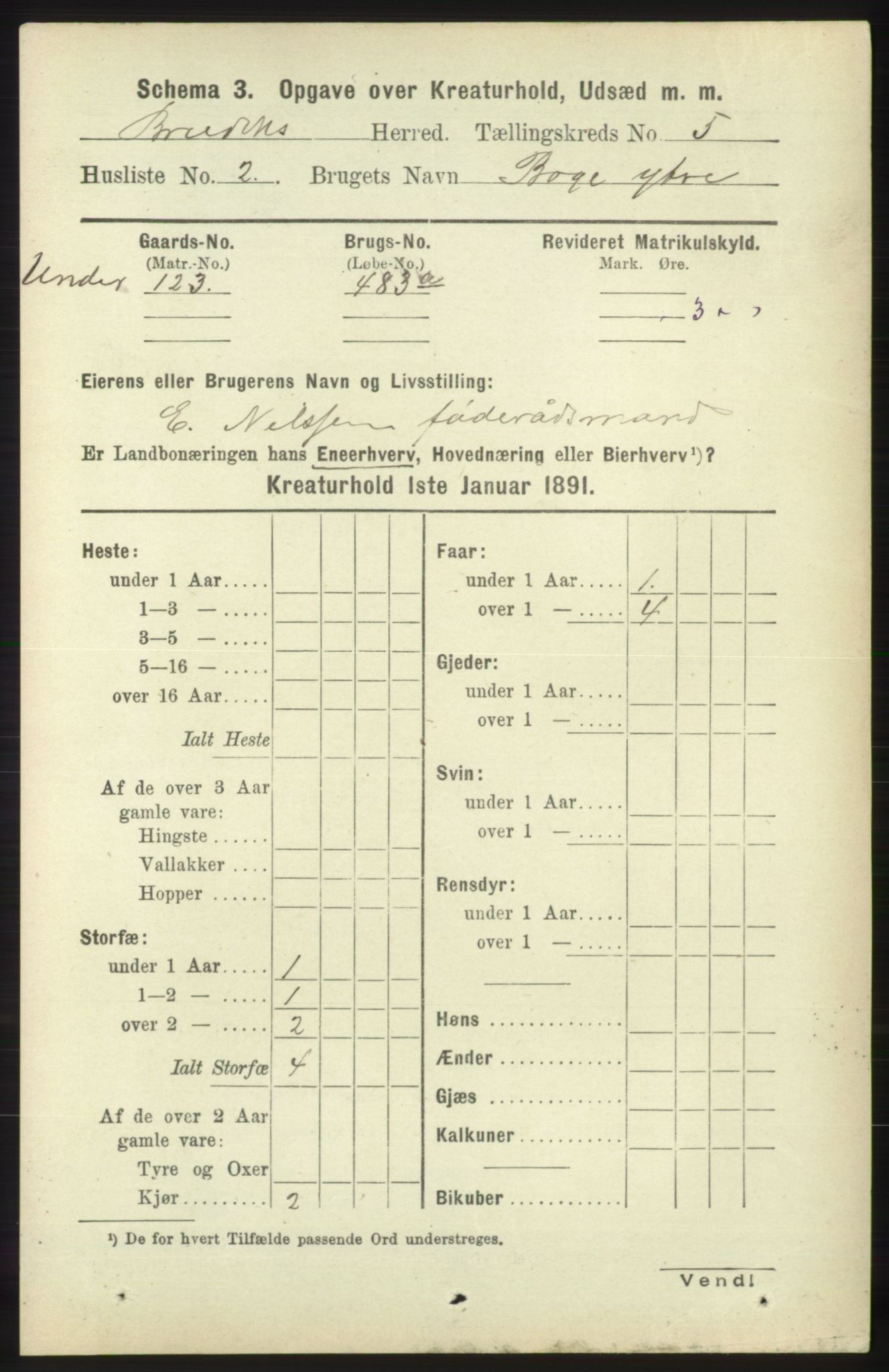 RA, 1891 census for 1251 Bruvik, 1891, p. 4443