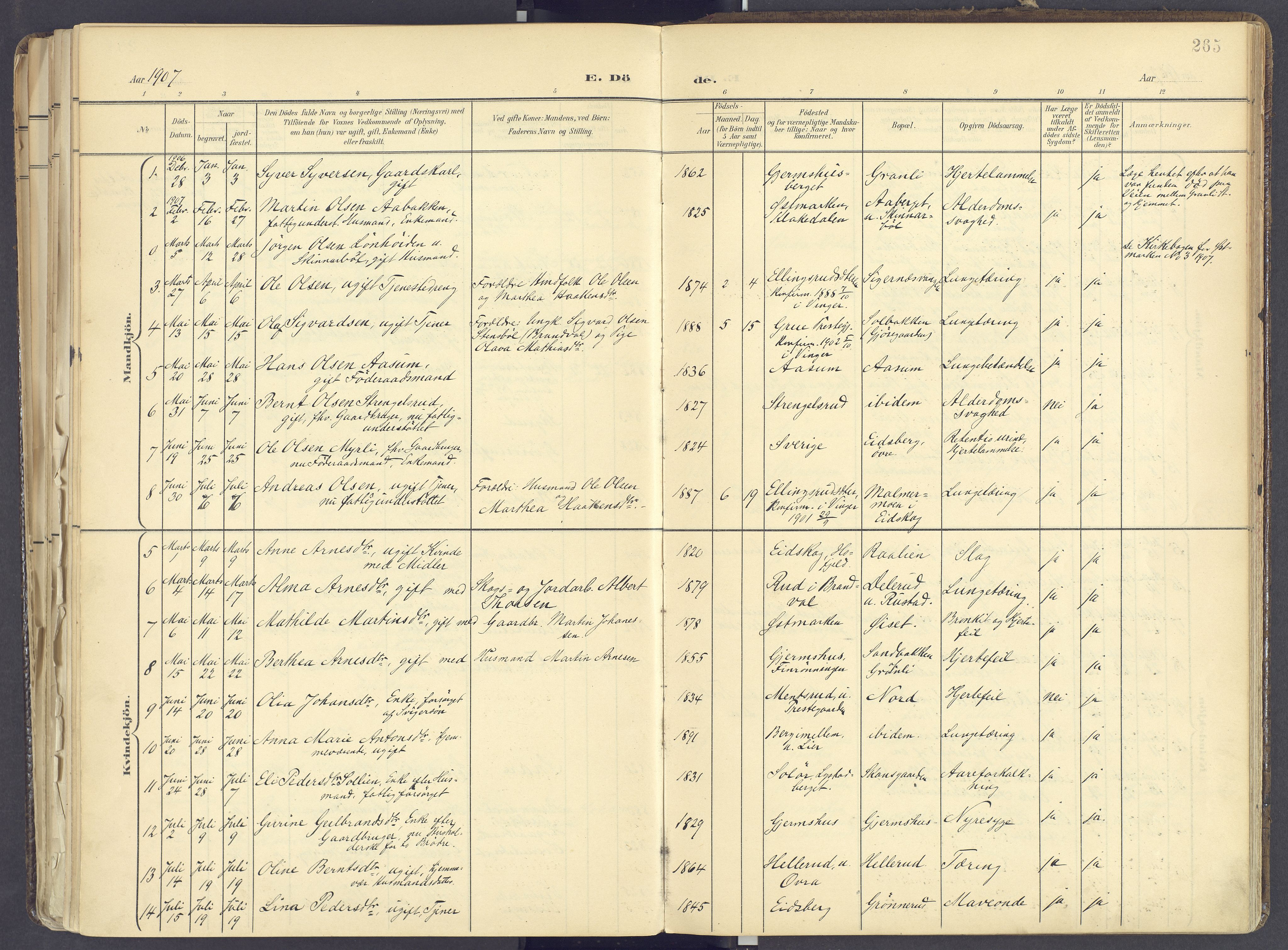 Vinger prestekontor, AV/SAH-PREST-024/H/Ha/Haa/L0017: Parish register (official) no. 17, 1901-1927, p. 265