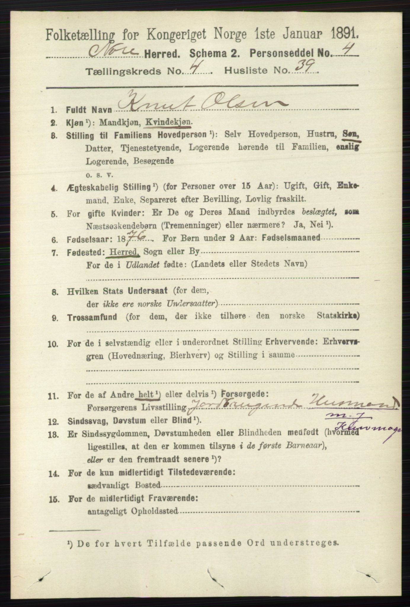 RA, 1891 census for 0633 Nore, 1891, p. 1497