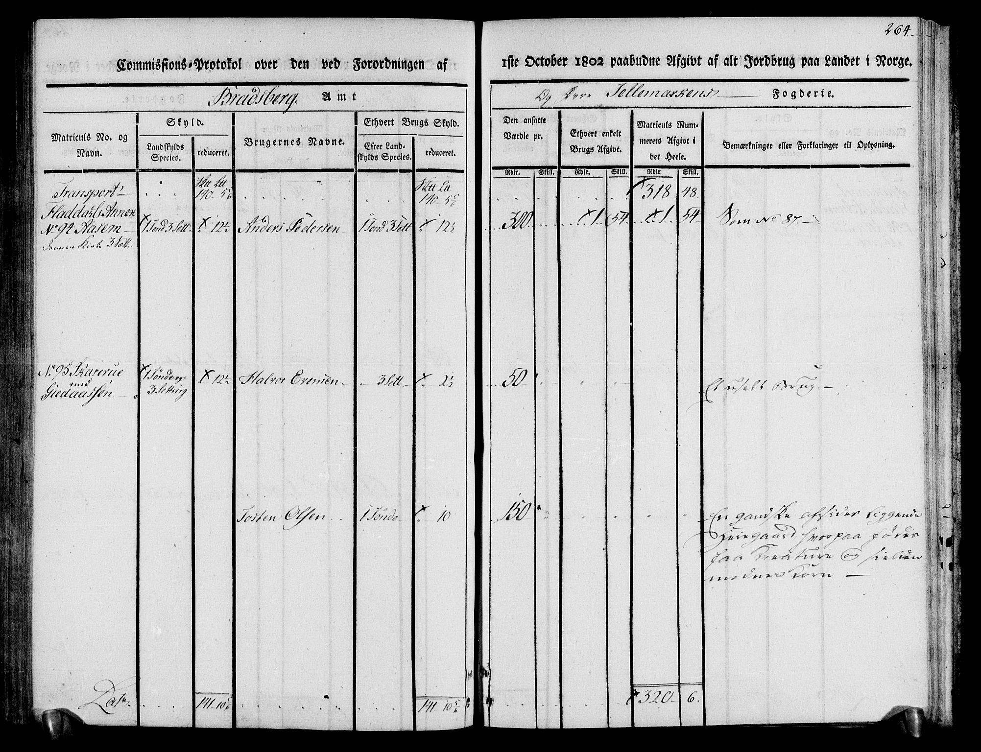 Rentekammeret inntil 1814, Realistisk ordnet avdeling, AV/RA-EA-4070/N/Ne/Nea/L0074: Øvre Telemarken fogderi. Kommisjonsprotokoll for fogderiets østre del - Tinn, Hjartdal og Seljord prestegjeld., 1803, p. 264