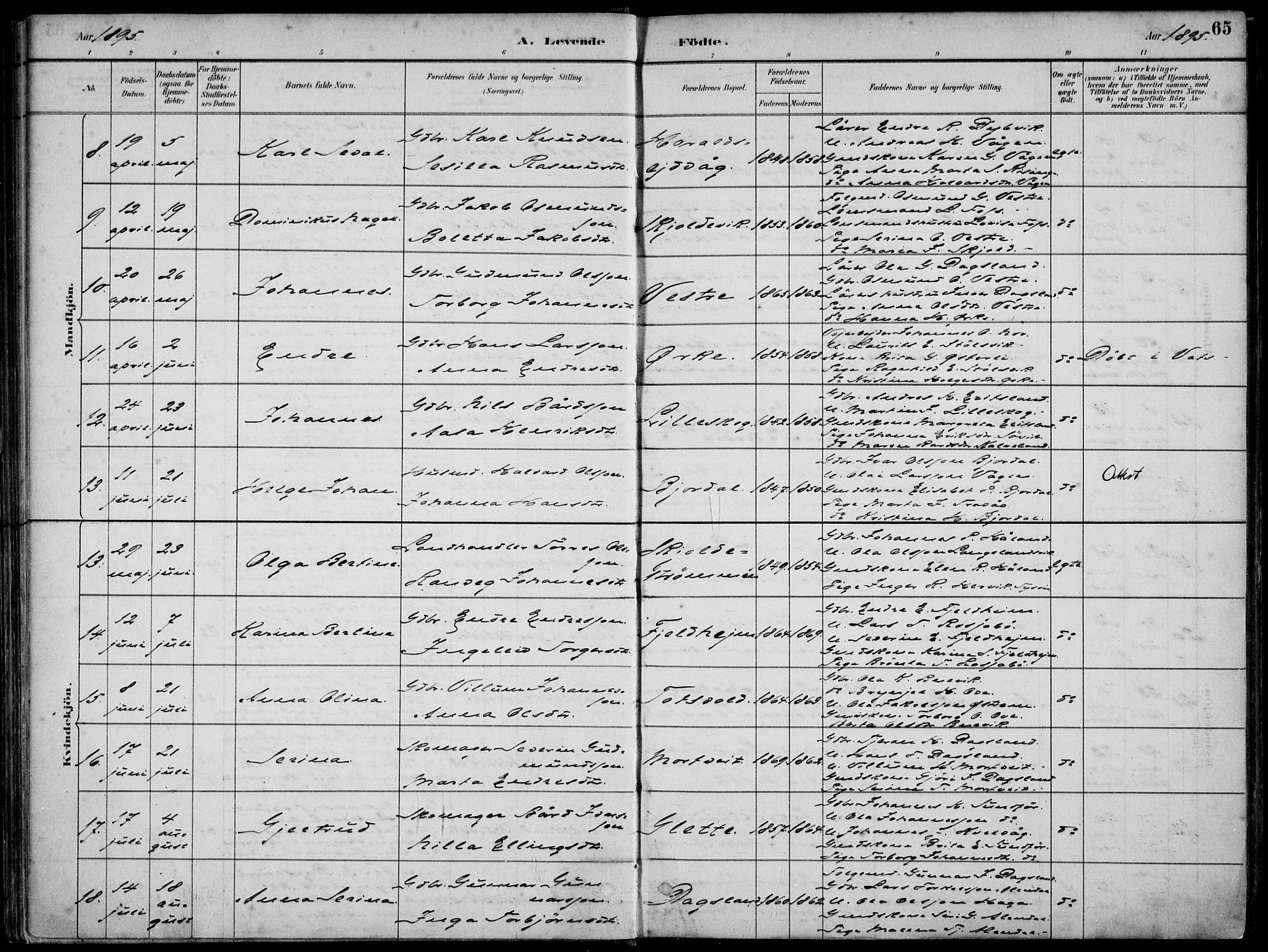 Skjold sokneprestkontor, AV/SAST-A-101847/H/Ha/Haa/L0010: Parish register (official) no. A 10, 1882-1897, p. 65