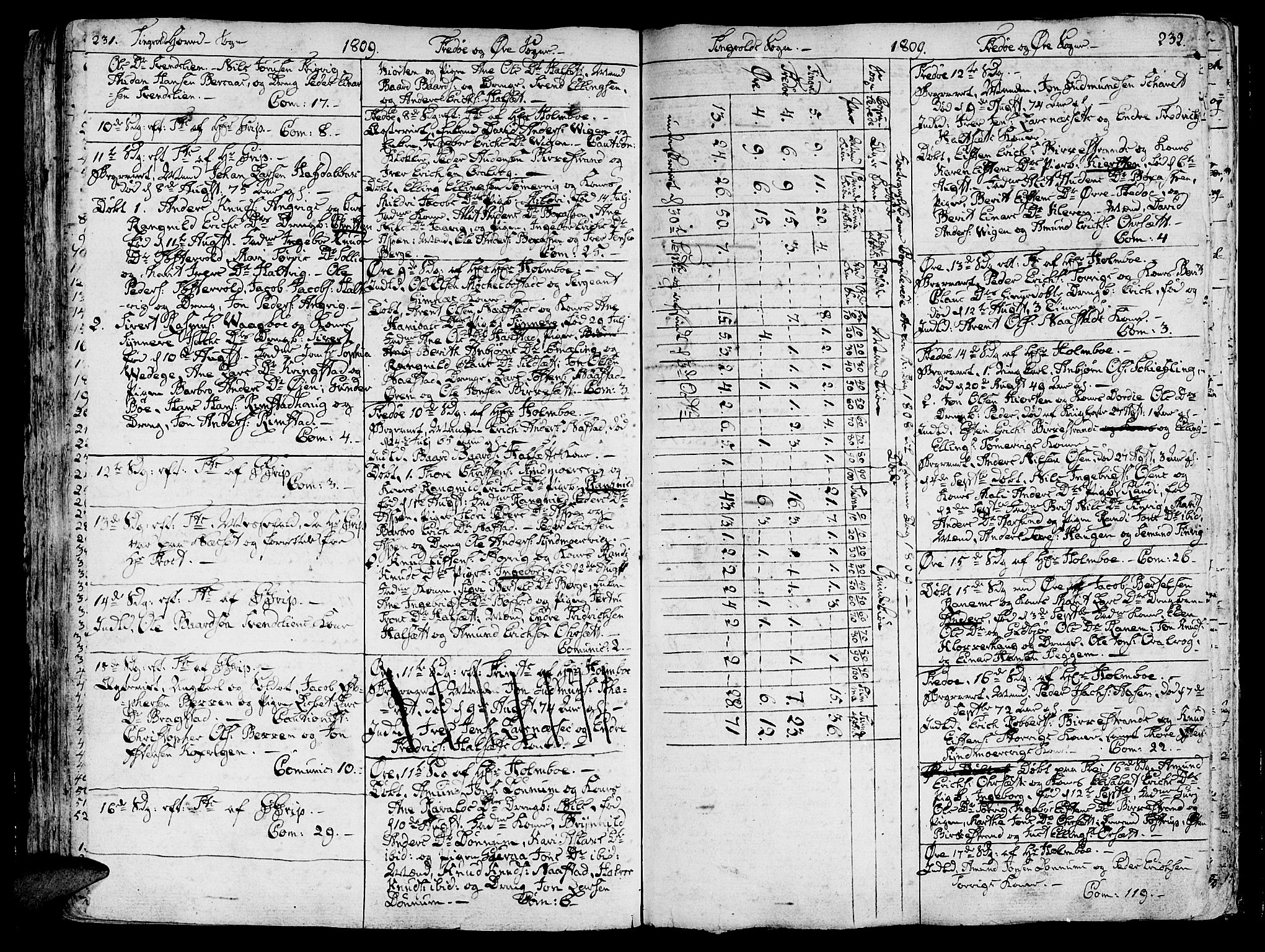 Ministerialprotokoller, klokkerbøker og fødselsregistre - Møre og Romsdal, AV/SAT-A-1454/586/L0981: Parish register (official) no. 586A07, 1794-1819, p. 231-232