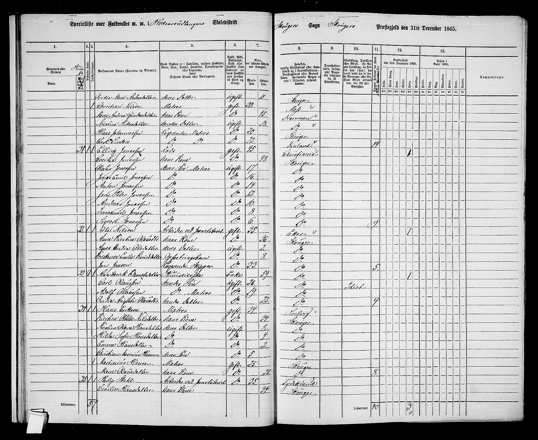 RA, 1865 census for Skoger, 1865, p. 22