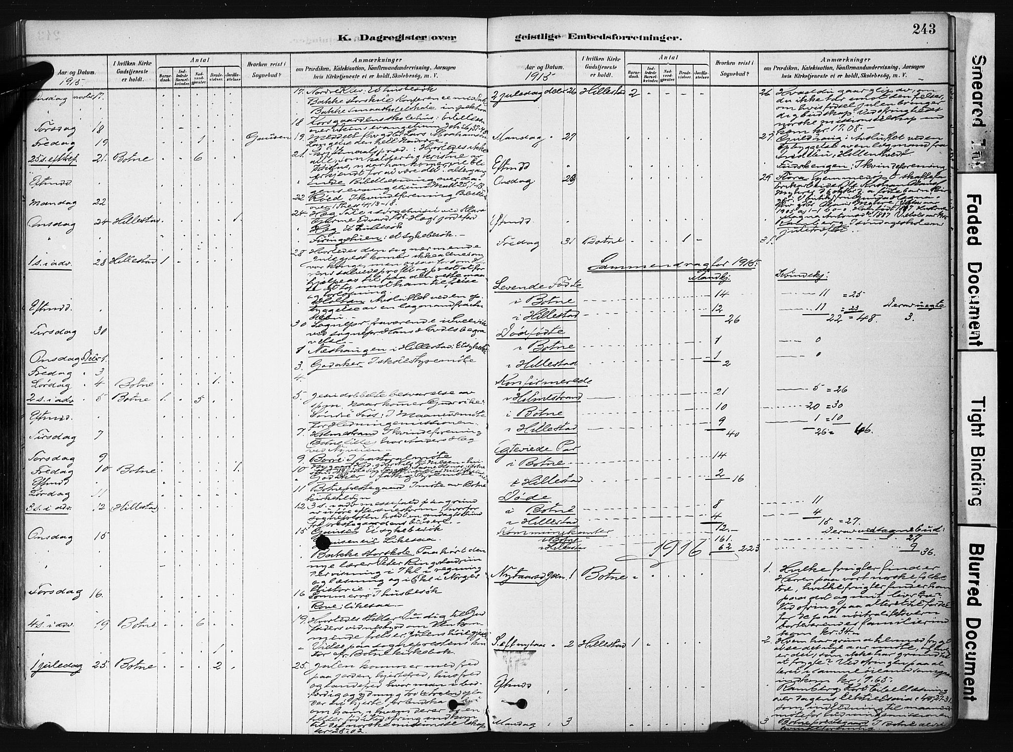 Botne kirkebøker, AV/SAKO-A-340/F/Fb/L0001: Parish register (official) no. II 1, 1878-1902, p. 243