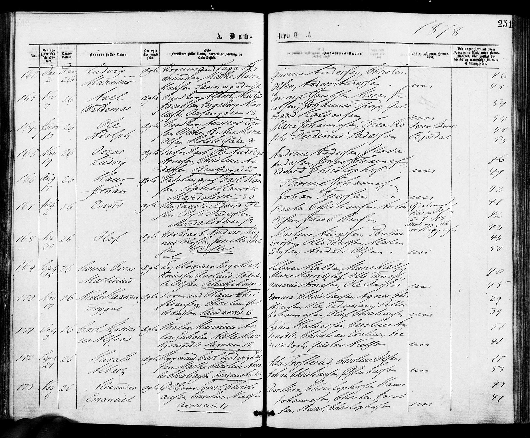 Gamle Aker prestekontor Kirkebøker, AV/SAO-A-10617a/F/L0004: Parish register (official) no. 4, 1872-1879, p. 251