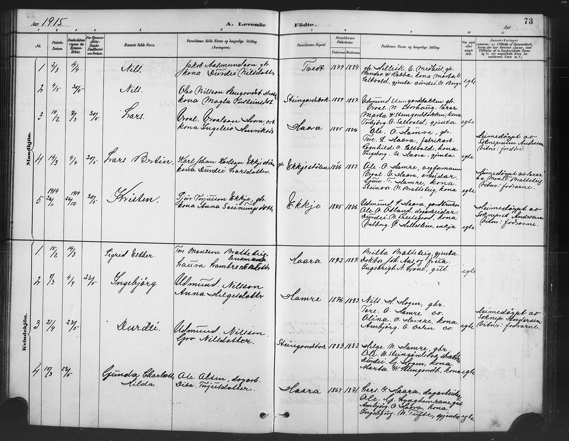Røldal sokneprestembete, SAB/A-100247: Parish register (copy) no. A 3, 1887-1917, p. 73