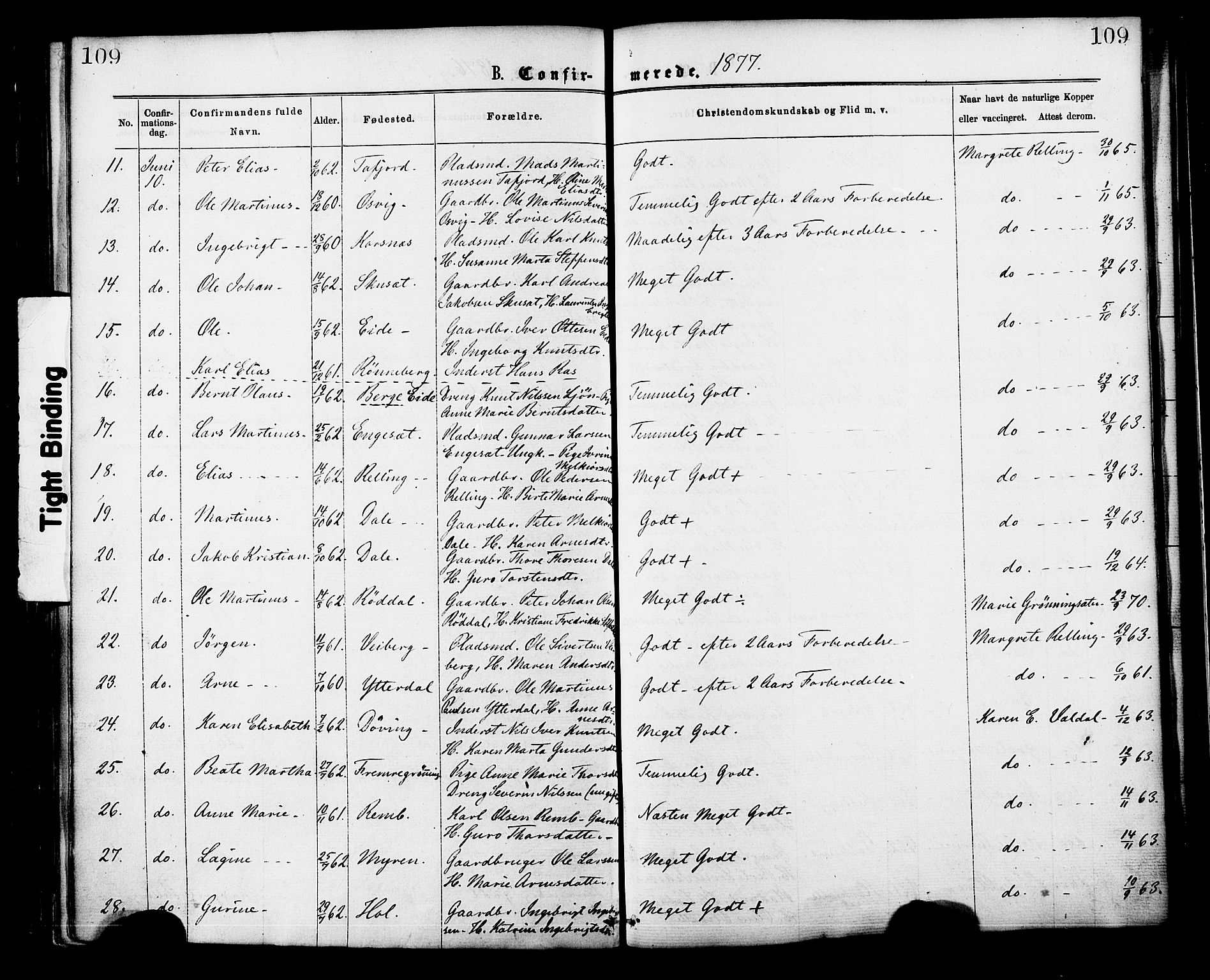 Ministerialprotokoller, klokkerbøker og fødselsregistre - Møre og Romsdal, AV/SAT-A-1454/519/L0254: Parish register (official) no. 519A13, 1868-1883, p. 109