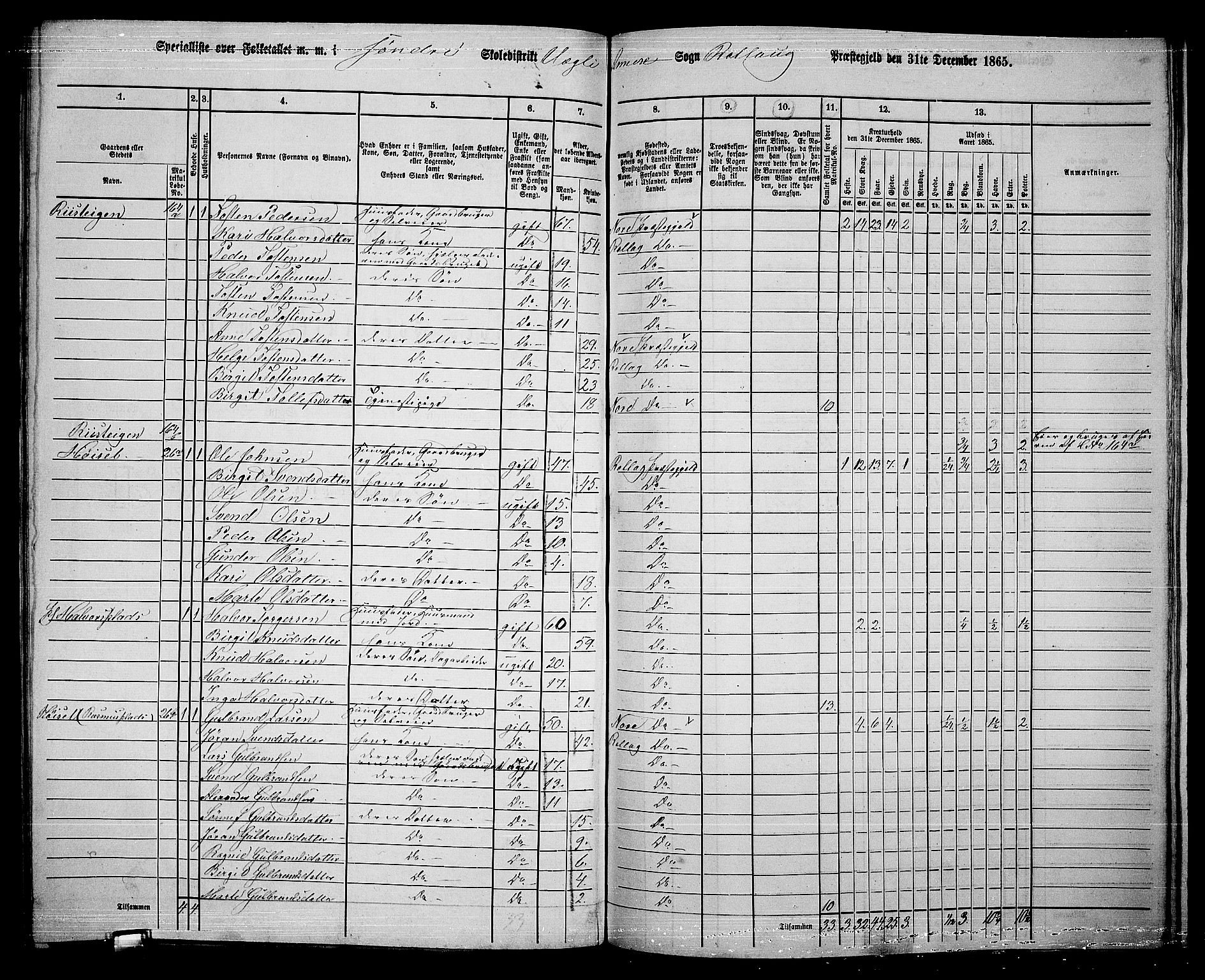 RA, 1865 census for Rollag, 1865, p. 52