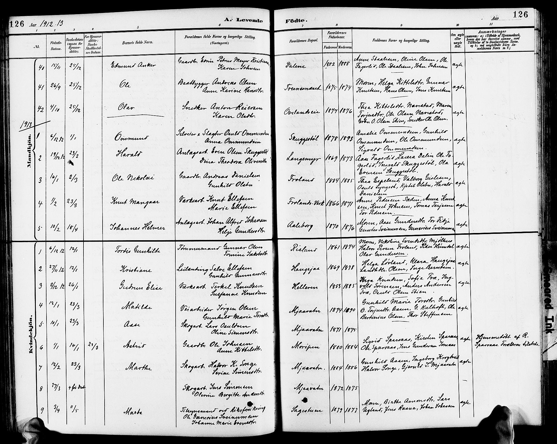Froland sokneprestkontor, SAK/1111-0013/F/Fb/L0010: Parish register (copy) no. B 10, 1893-1920, p. 126