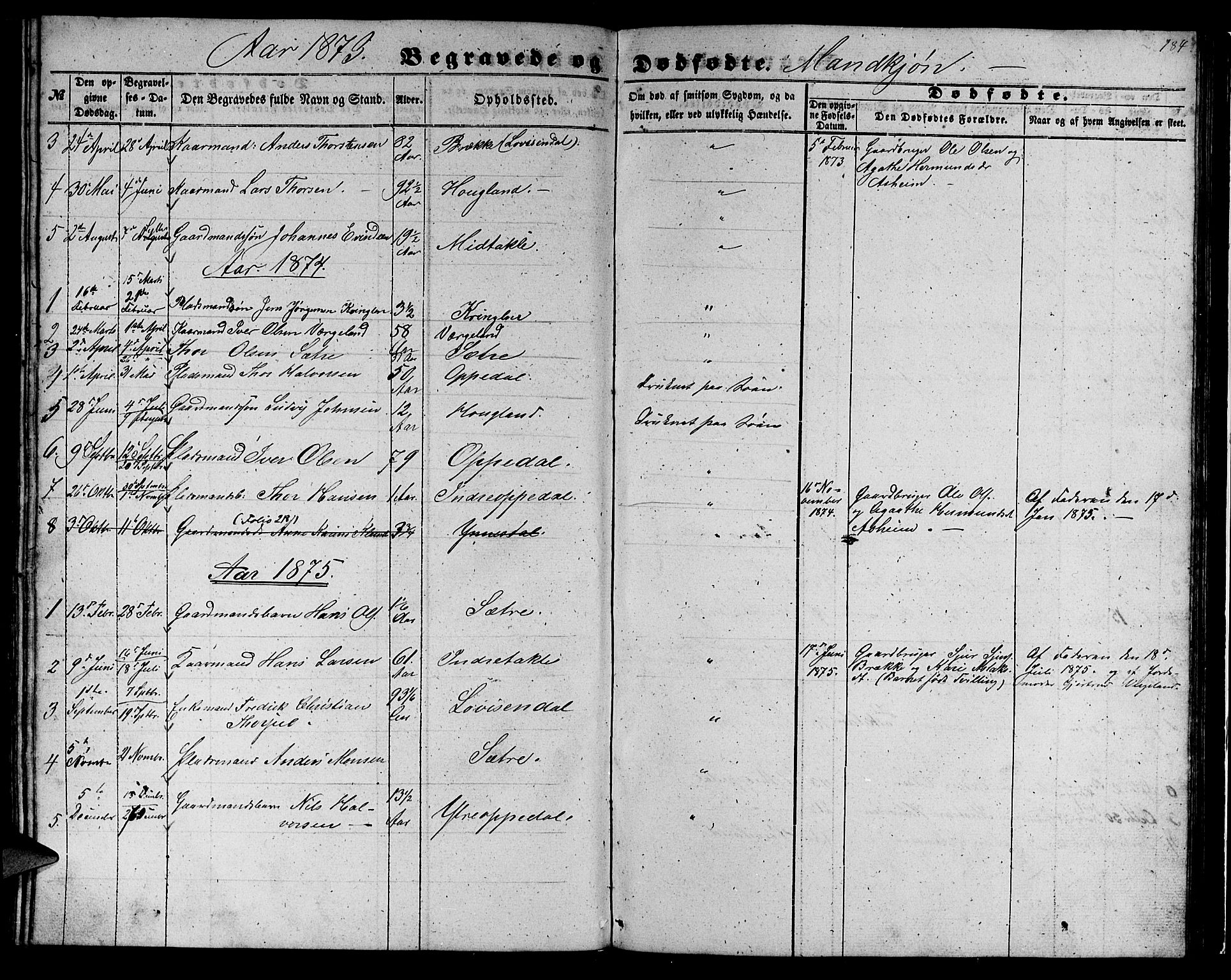 Gulen sokneprestembete, SAB/A-80201/H/Hab/Habc/L0001: Parish register (copy) no. C 1, 1853-1880, p. 184