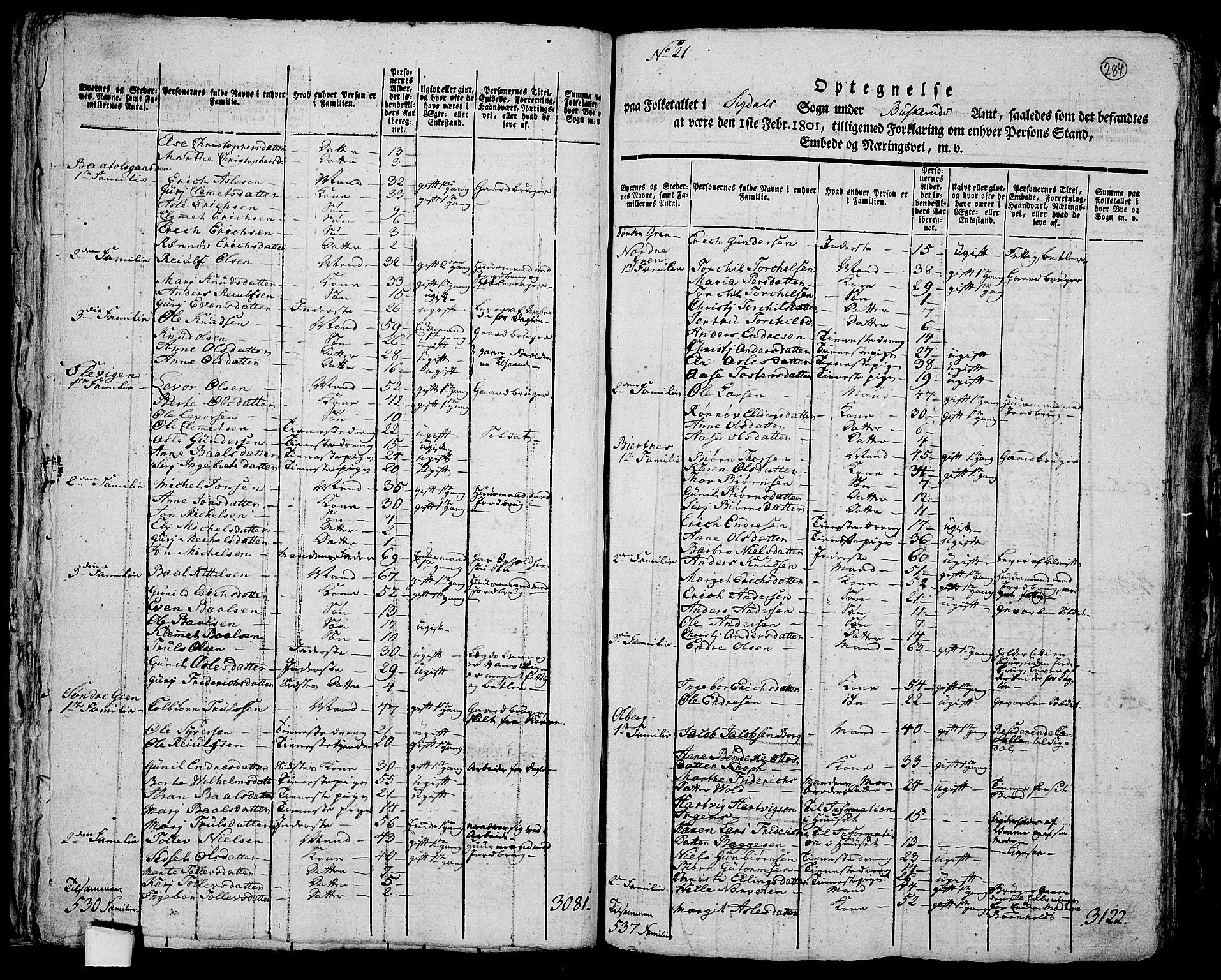 RA, 1801 census for 0621P Sigdal, 1801, p. 283b-284a