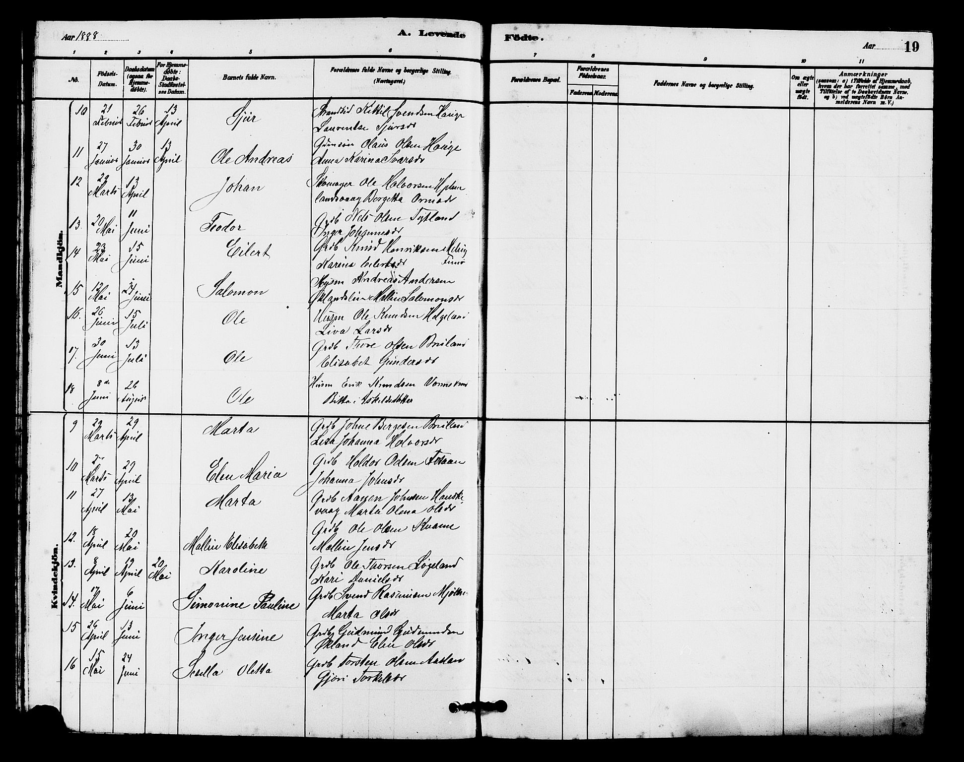 Hjelmeland sokneprestkontor, AV/SAST-A-101843/01/V/L0007: Parish register (copy) no. B 7, 1880-1909, p. 19