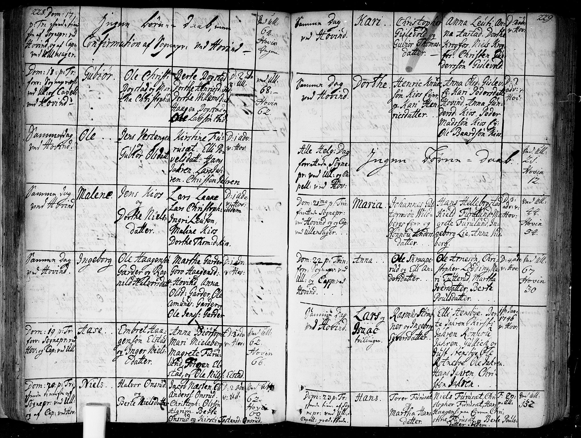 Ullensaker prestekontor Kirkebøker, AV/SAO-A-10236a/F/Fa/L0005: Parish register (official) no. I 5, 1733-1762, p. 228-229