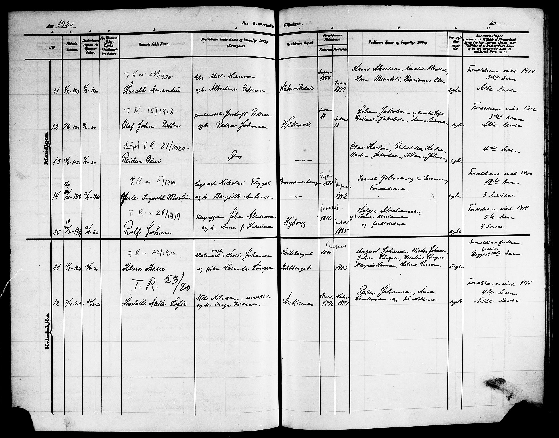 Ministerialprotokoller, klokkerbøker og fødselsregistre - Nordland, AV/SAT-A-1459/866/L0954: Parish register (copy) no. 866C03, 1905-1923