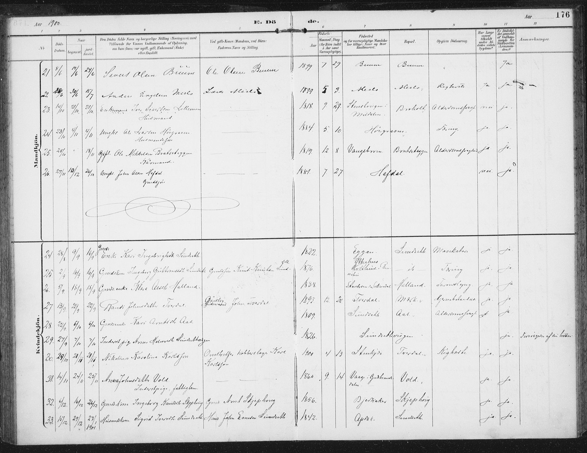 Ministerialprotokoller, klokkerbøker og fødselsregistre - Sør-Trøndelag, SAT/A-1456/674/L0872: Parish register (official) no. 674A04, 1897-1907, p. 176