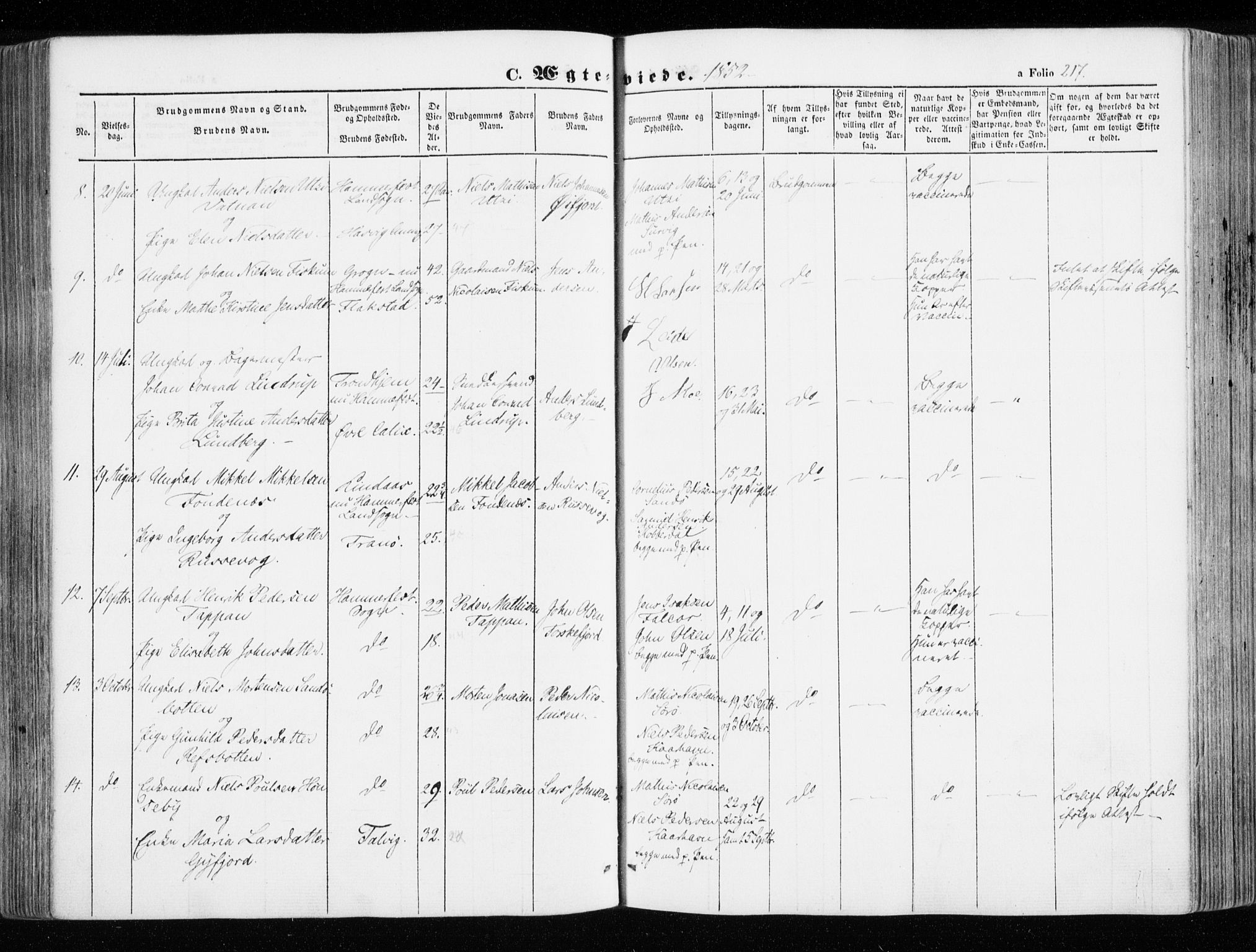 Hammerfest sokneprestkontor, AV/SATØ-S-1347/H/Ha/L0004.kirke: Parish register (official) no. 4, 1843-1856, p. 217