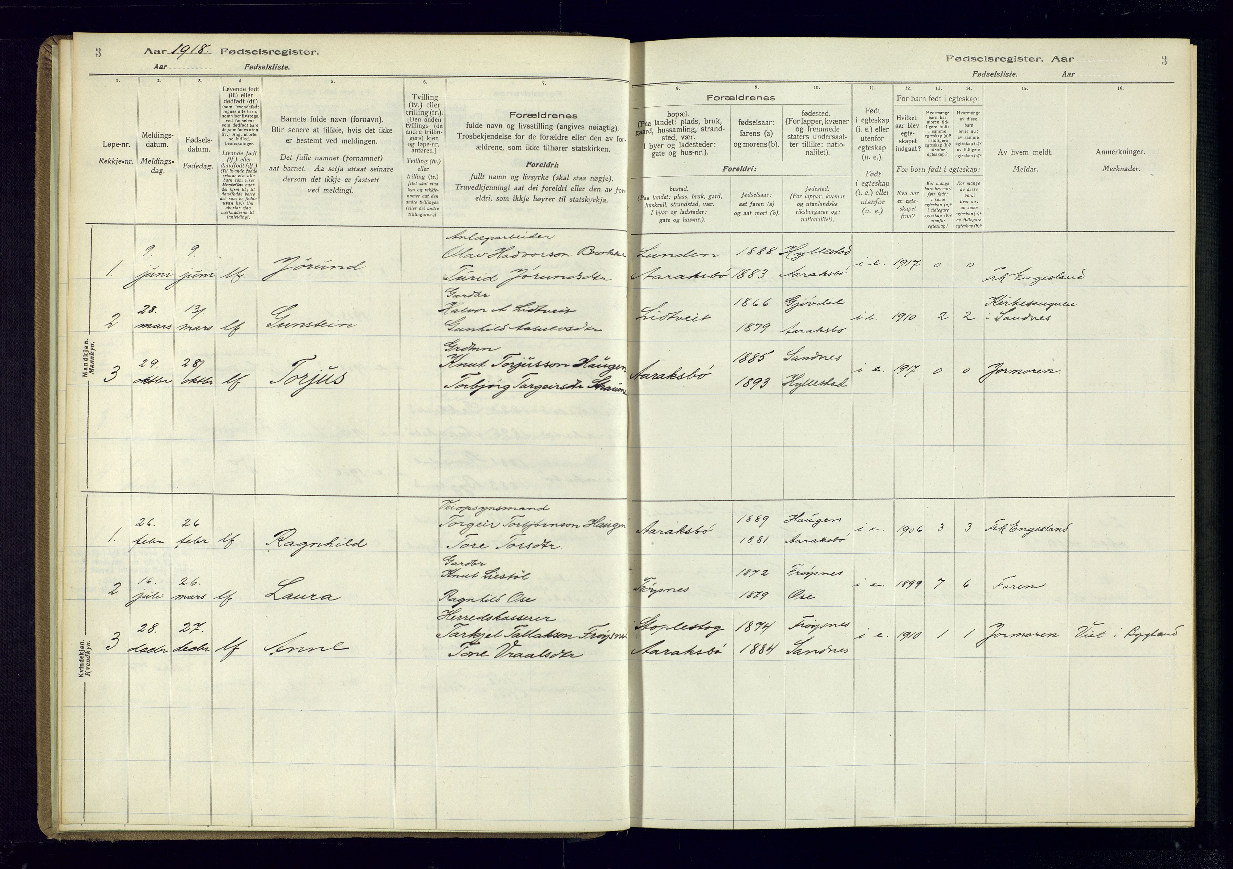 Bygland sokneprestkontor, AV/SAK-1111-0006/J/Ja/L0003: Birth register no. II.4.4, 1916-1980, p. 3