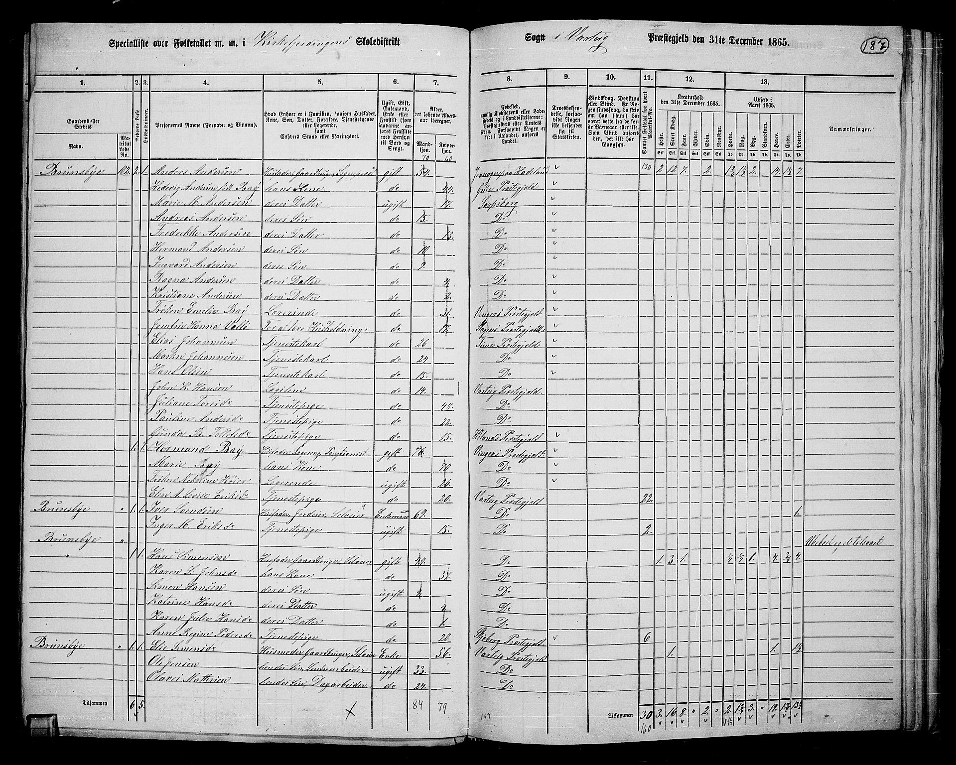 RA, 1865 census for Varteig, 1865, p. 10