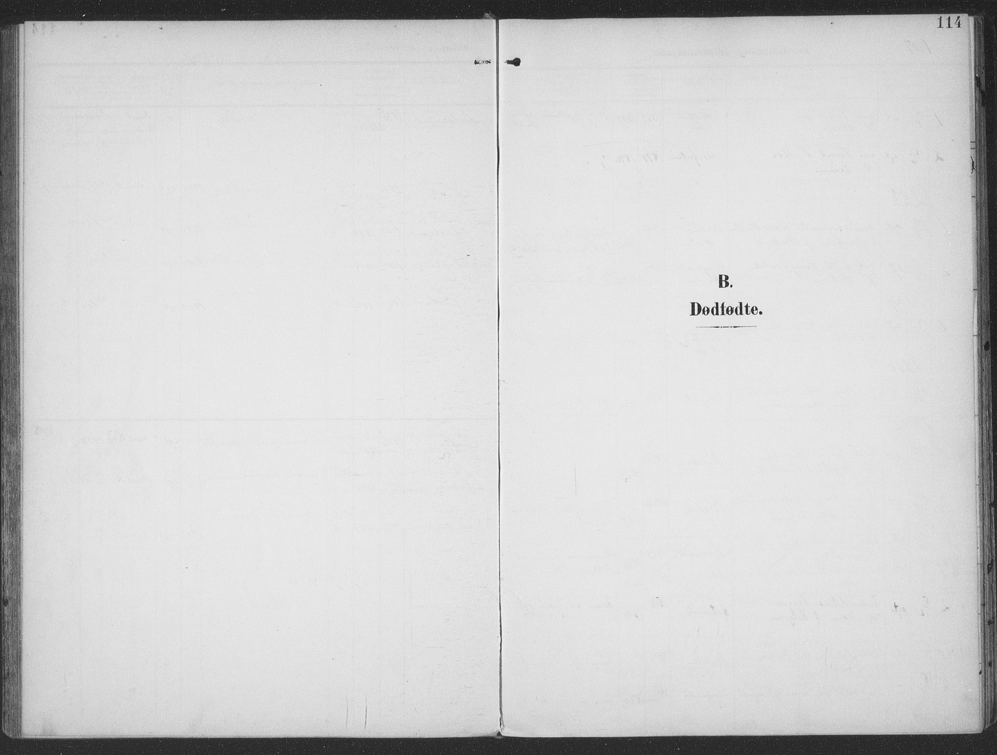 Ministerialprotokoller, klokkerbøker og fødselsregistre - Møre og Romsdal, SAT/A-1454/513/L0178: Parish register (official) no. 513A05, 1906-1919, p. 114