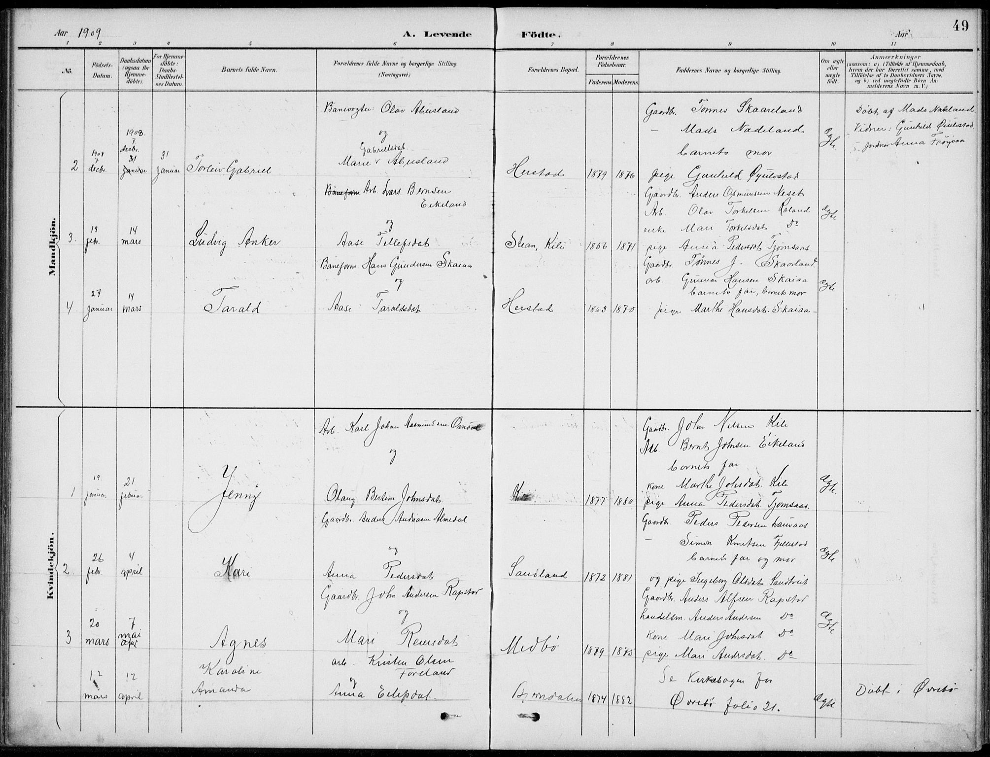 Vennesla sokneprestkontor, AV/SAK-1111-0045/Fb/Fba/L0003: Parish register (copy) no. B 3, 1890-1919, p. 49