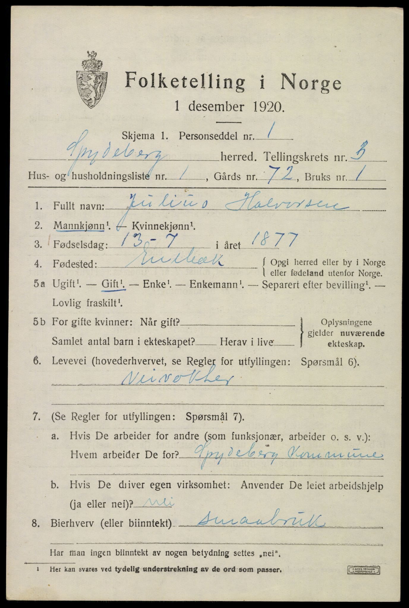 SAO, 1920 census for Spydeberg, 1920, p. 4065