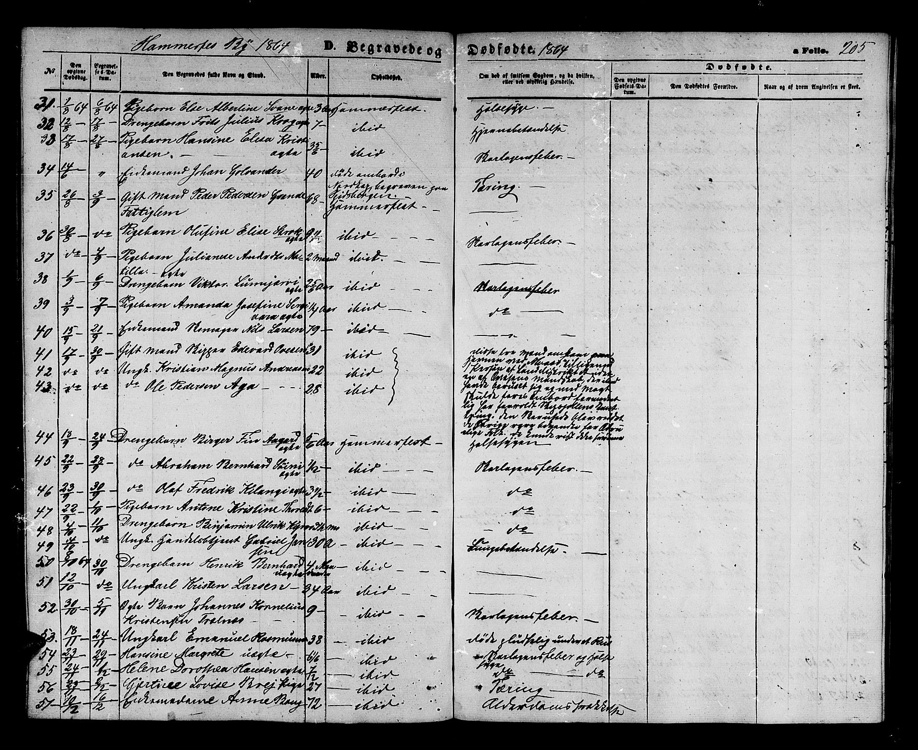 Hammerfest sokneprestkontor, AV/SATØ-S-1347/H/Hb/L0003.klokk: Parish register (copy) no. 3 /1, 1862-1868, p. 205