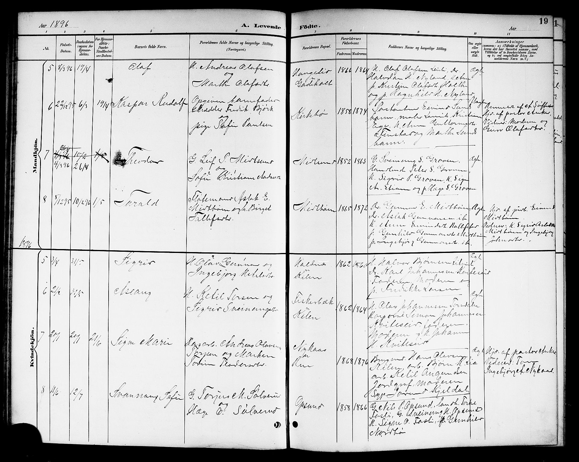 Kviteseid kirkebøker, SAKO/A-276/G/Ga/L0002: Parish register (copy) no. I 2, 1893-1918, p. 19