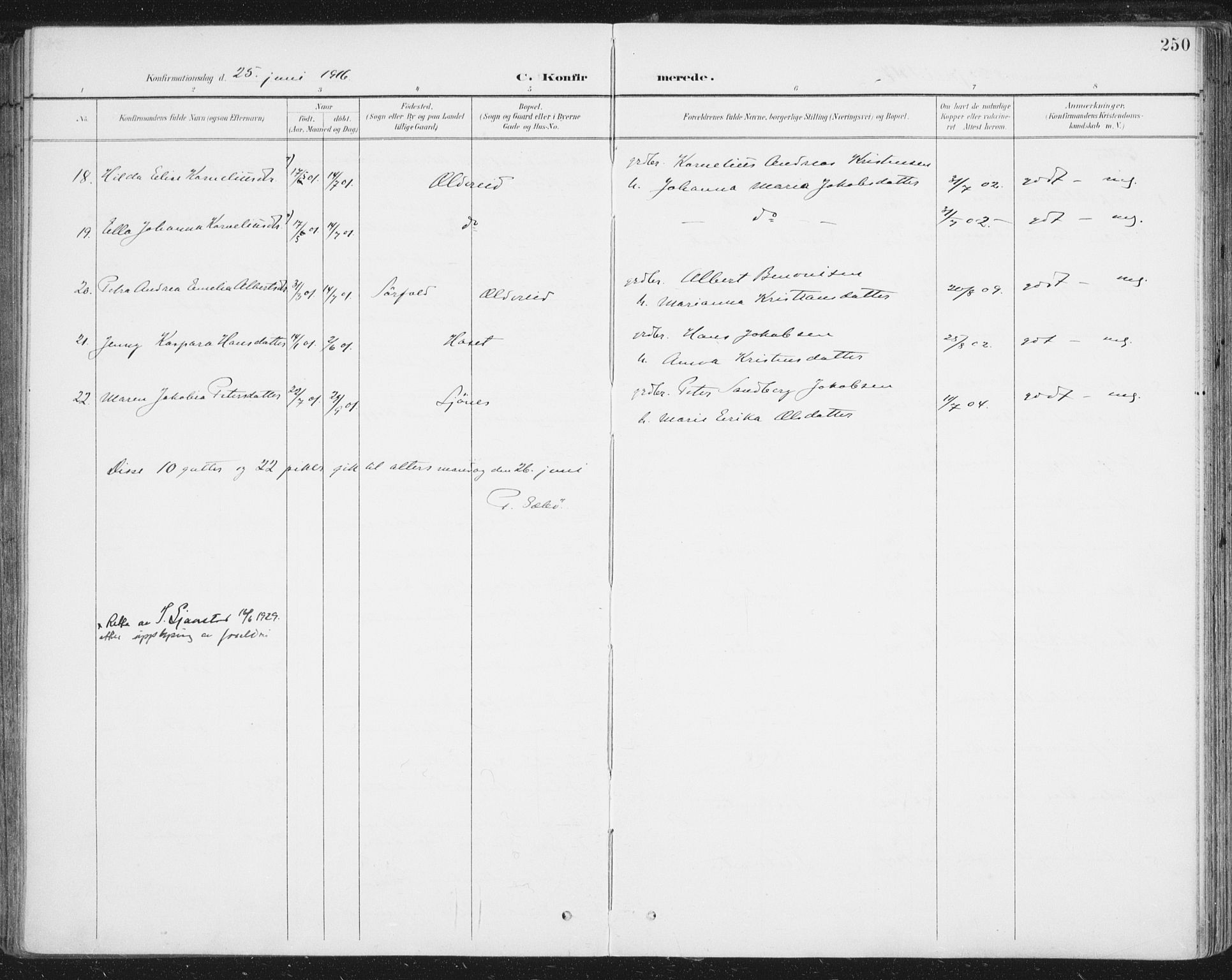 Ministerialprotokoller, klokkerbøker og fødselsregistre - Nordland, AV/SAT-A-1459/852/L0741: Parish register (official) no. 852A11, 1894-1917, p. 250