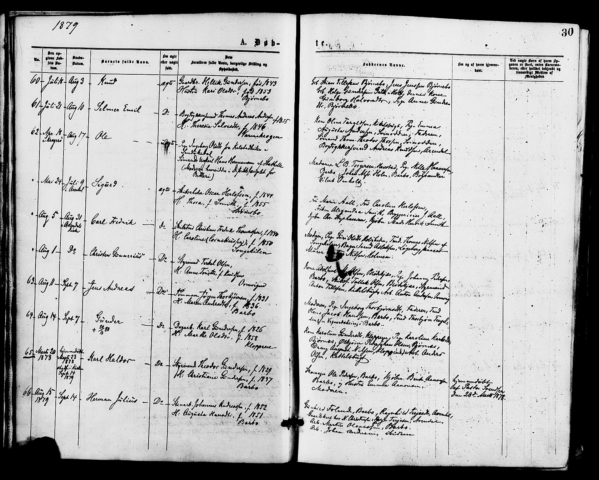 Barbu sokneprestkontor, AV/SAK-1111-0003/F/Fa/L0001: Parish register (official) no. A 1 /1, 1878-1883, p. 30