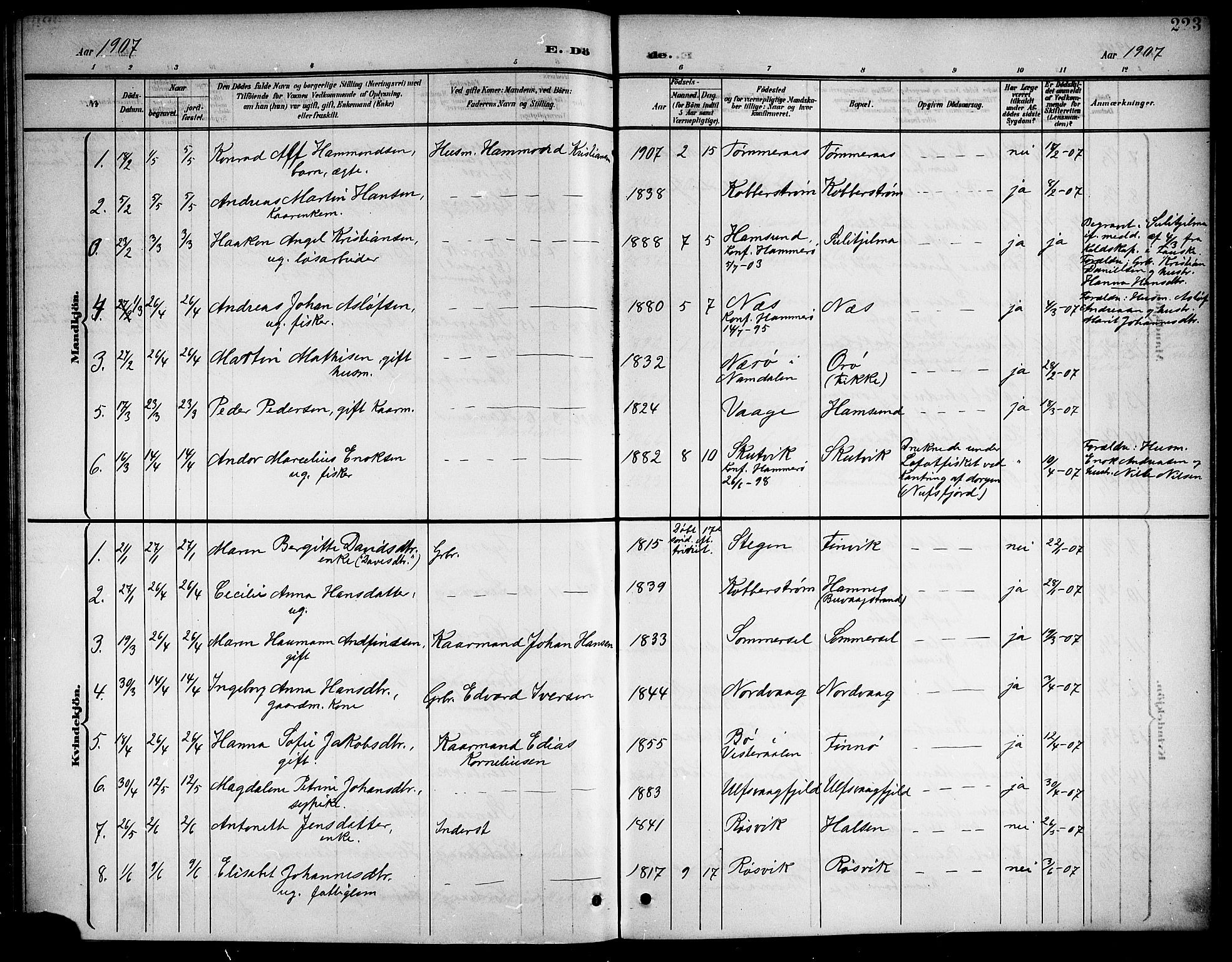 Ministerialprotokoller, klokkerbøker og fødselsregistre - Nordland, SAT/A-1459/859/L0860: Parish register (copy) no. 859C06, 1899-1909, p. 223