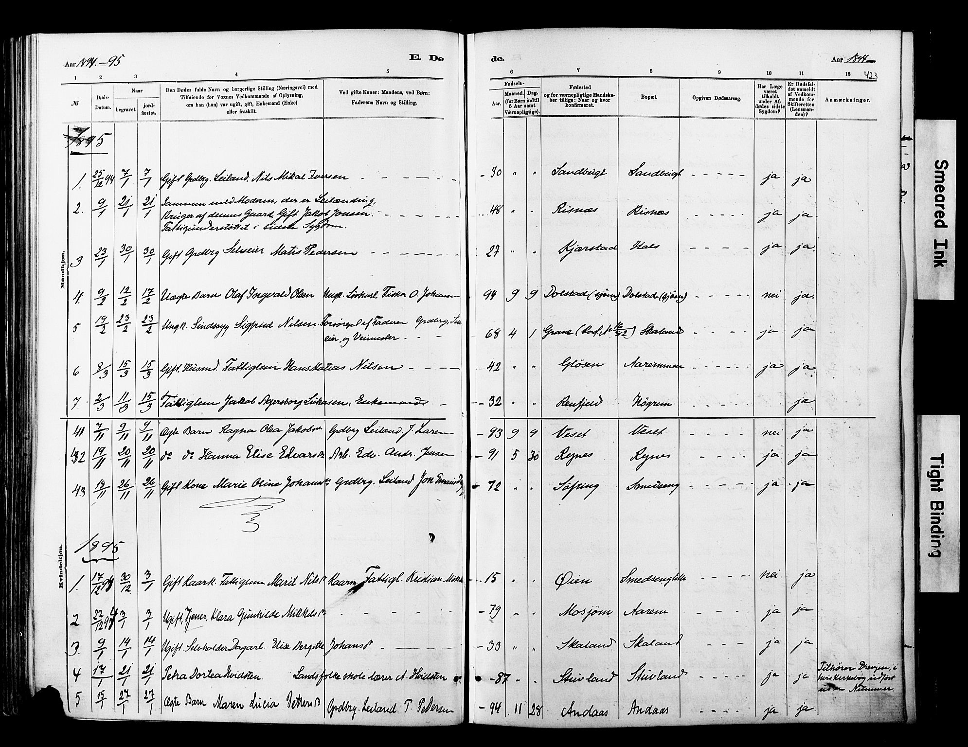 Ministerialprotokoller, klokkerbøker og fødselsregistre - Nordland, AV/SAT-A-1459/820/L0295: Parish register (official) no. 820A16, 1880-1896, p. 423