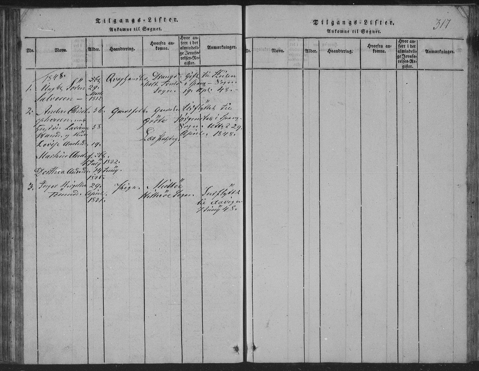 Sør-Audnedal sokneprestkontor, AV/SAK-1111-0039/F/Fb/Fba/L0001: Parish register (copy) no. B 1, 1815-1850, p. 317