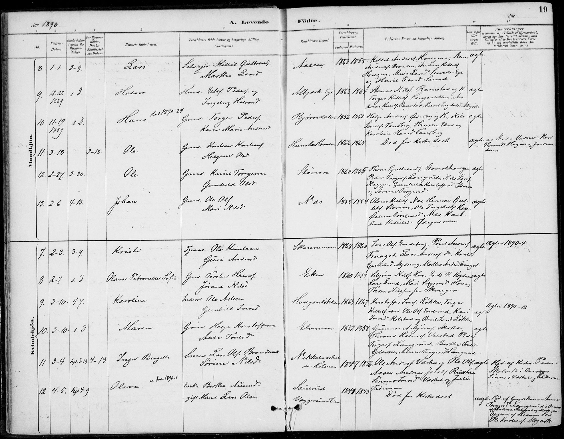 Sigdal kirkebøker, AV/SAKO-A-245/F/Fb/L0001: Parish register (official) no. II 1, 1888-1900, p. 19