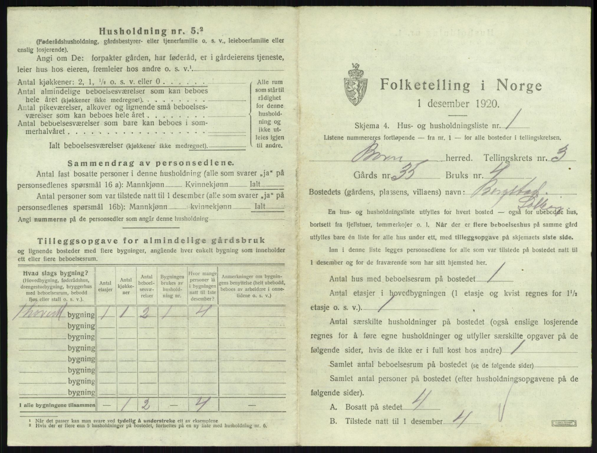 SAKO, 1920 census for Borre, 1920, p. 805