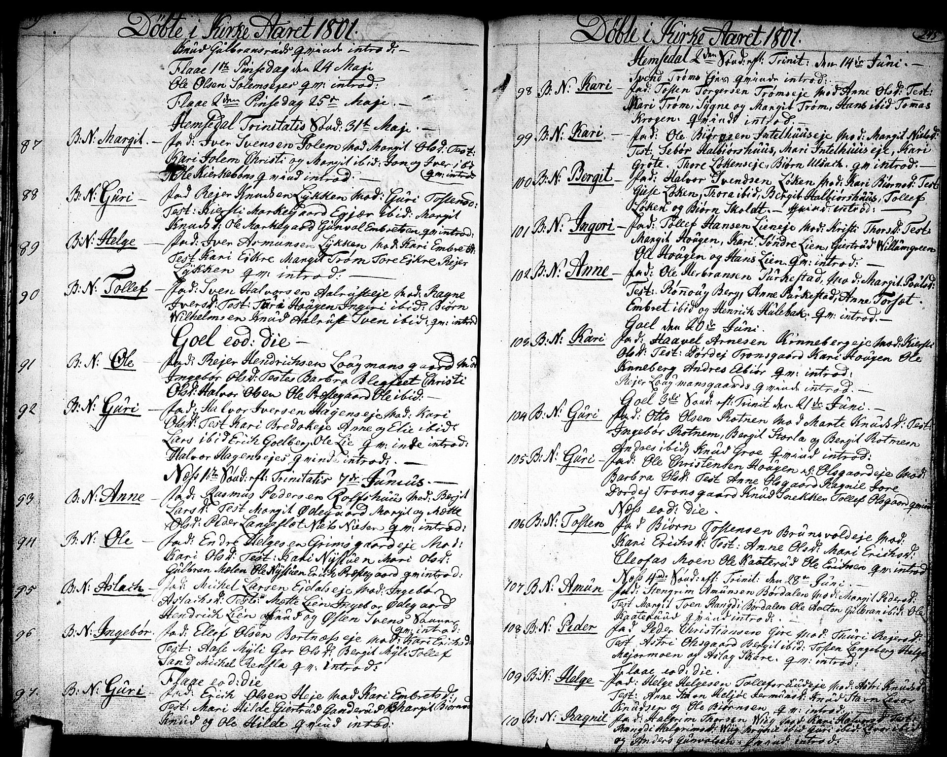 Nes kirkebøker, AV/SAKO-A-236/F/Fa/L0005: Parish register (official) no. 5, 1787-1807, p. 244-245