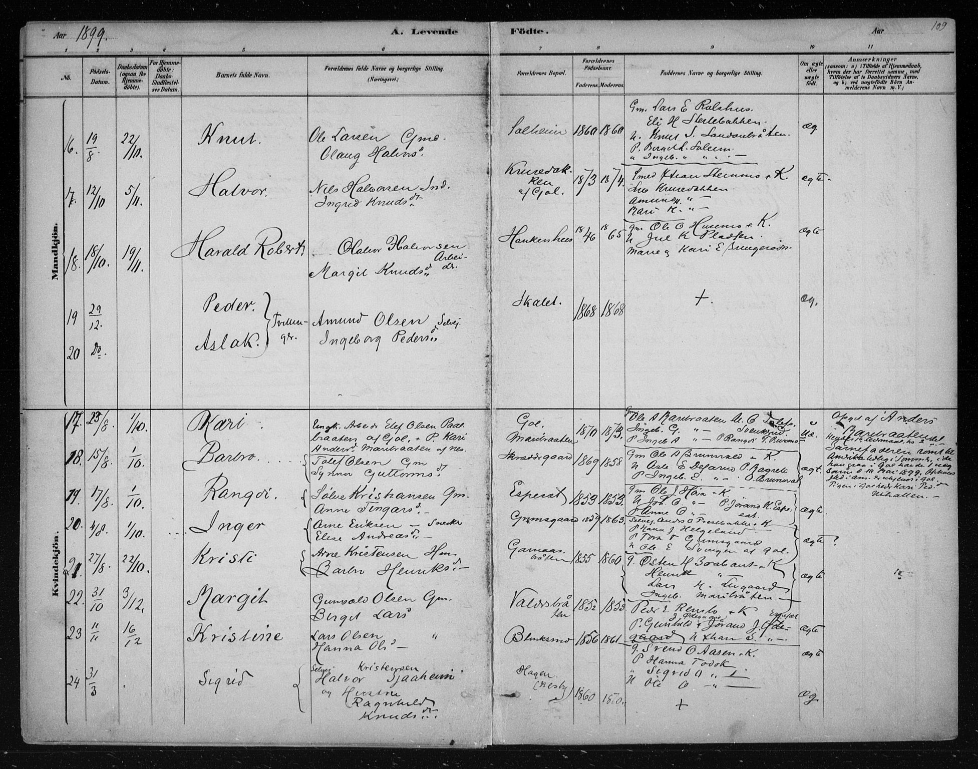 Nes kirkebøker, AV/SAKO-A-236/F/Fa/L0011: Parish register (official) no. 11, 1881-1912, p. 109