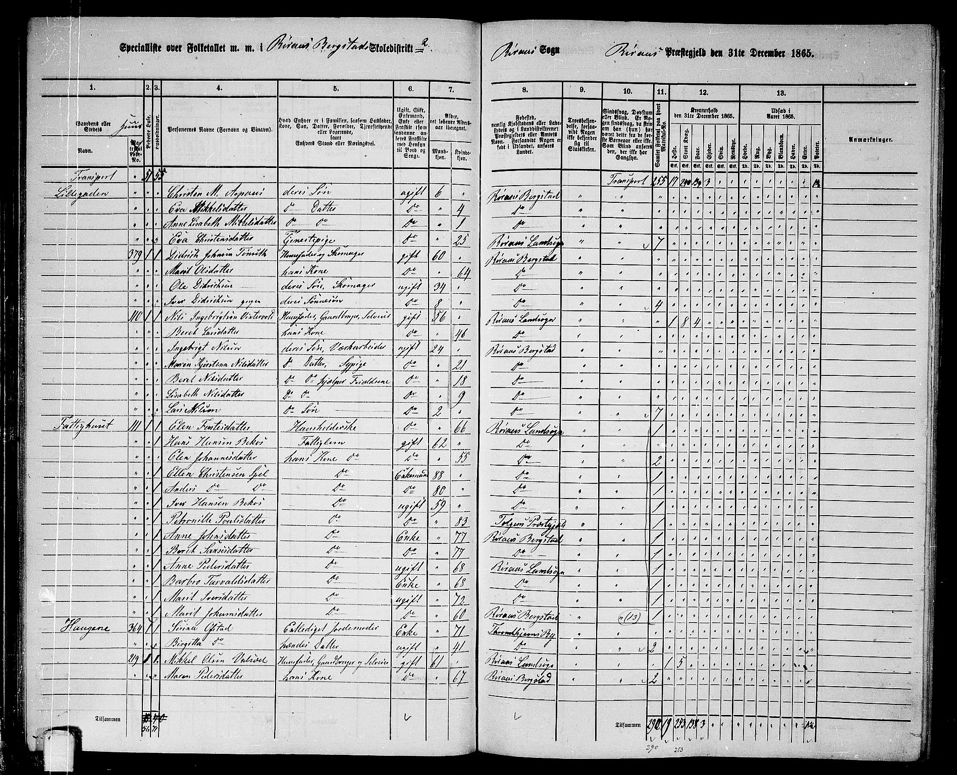 RA, 1865 census for Røros, 1865, p. 42