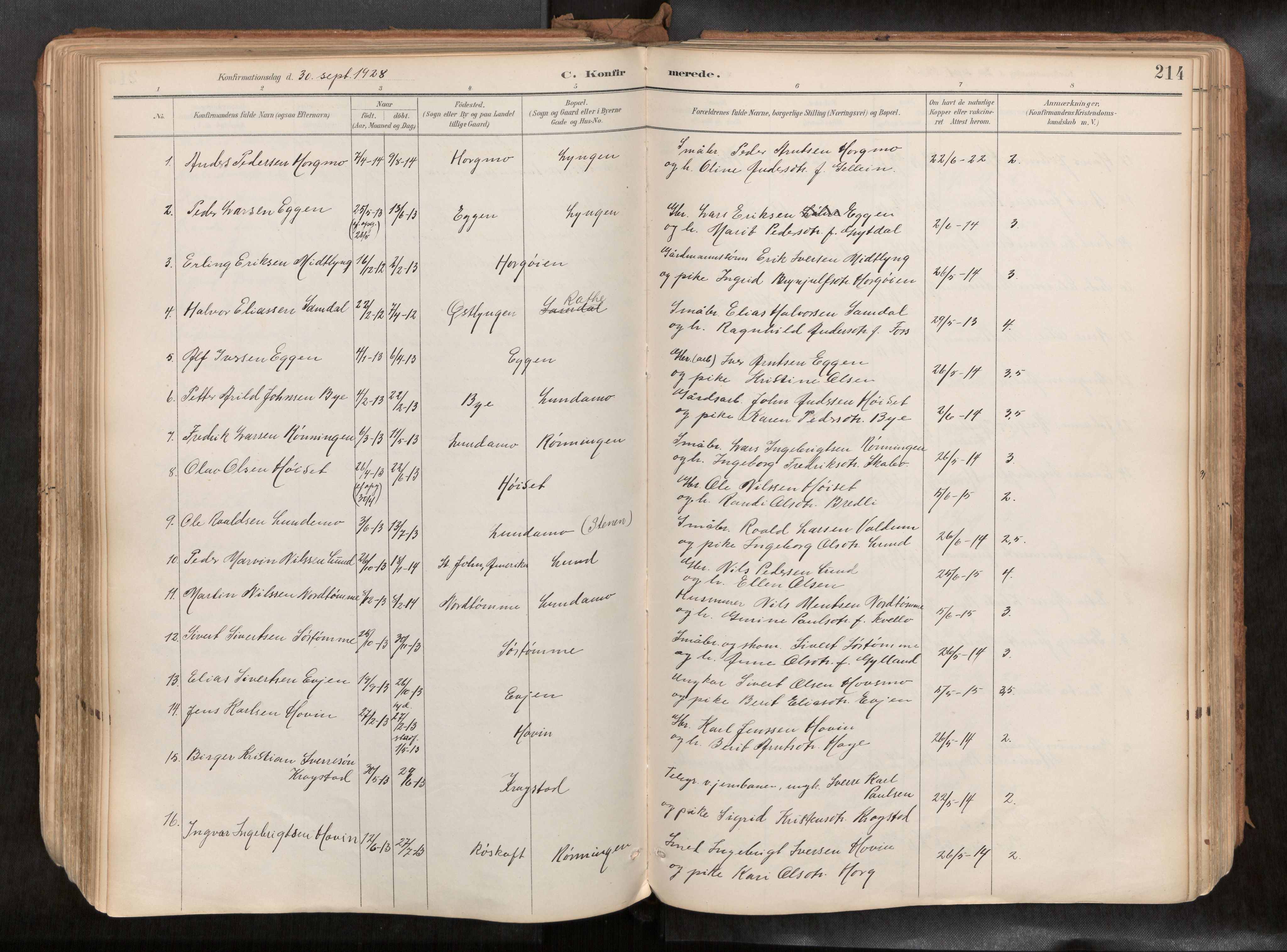 Ministerialprotokoller, klokkerbøker og fødselsregistre - Sør-Trøndelag, SAT/A-1456/692/L1105b: Parish register (official) no. 692A06, 1891-1934, p. 214