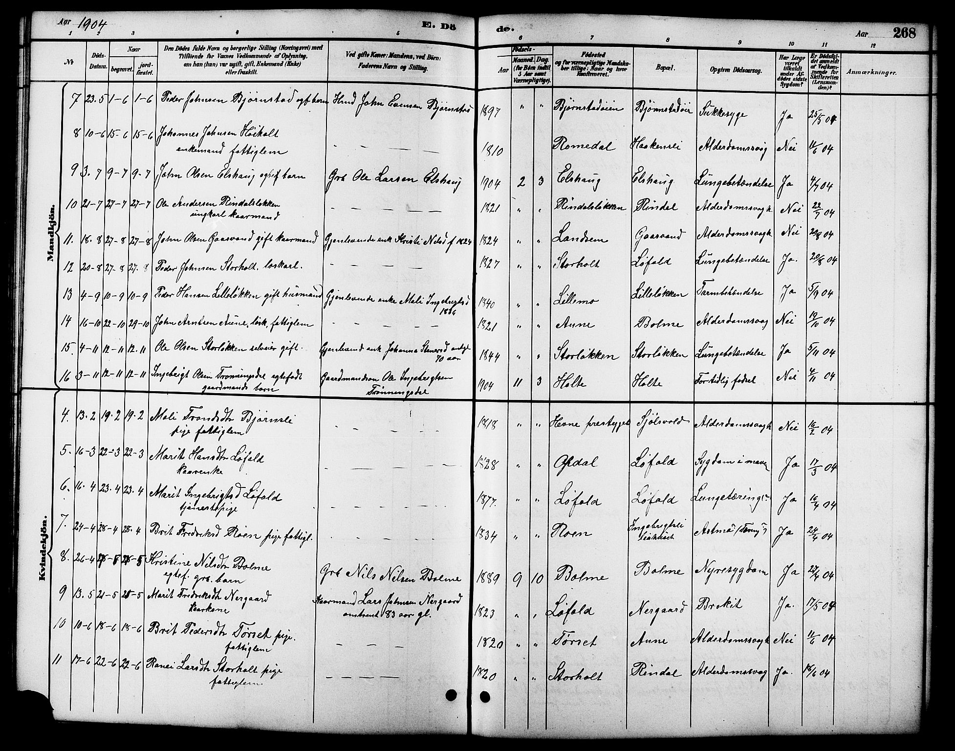 Ministerialprotokoller, klokkerbøker og fødselsregistre - Møre og Romsdal, SAT/A-1454/598/L1078: Parish register (copy) no. 598C03, 1892-1909, p. 268