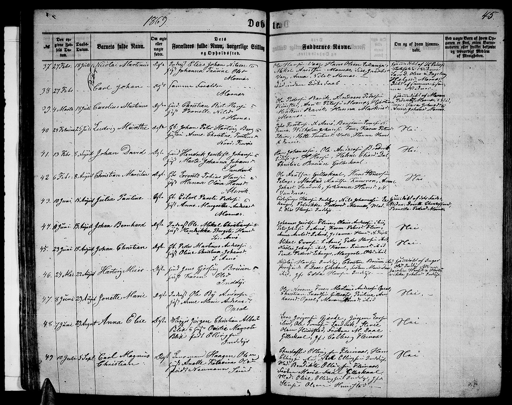 Ministerialprotokoller, klokkerbøker og fødselsregistre - Nordland, AV/SAT-A-1459/805/L0107: Parish register (copy) no. 805C03, 1862-1885, p. 45