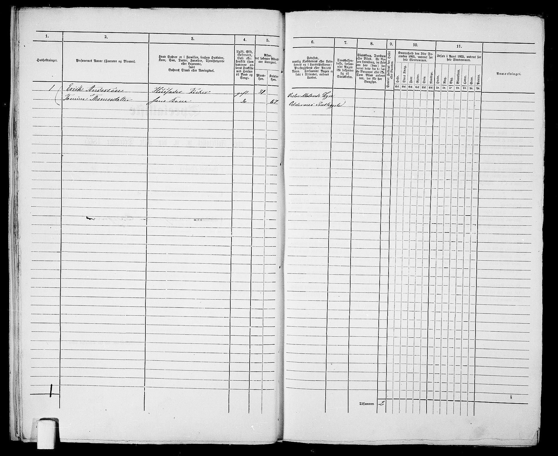 RA, 1865 census for Vestre Moland/Lillesand, 1865, p. 17