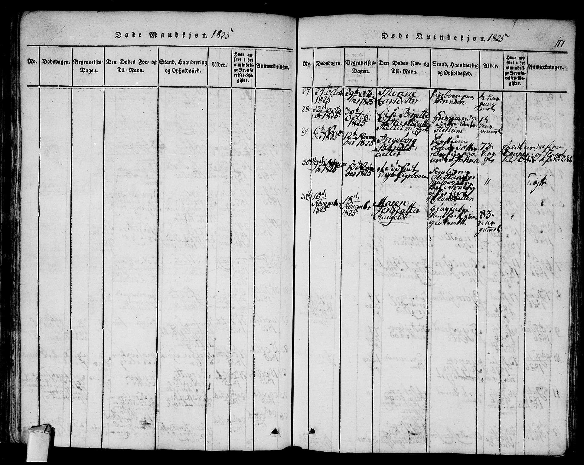 Hurum kirkebøker, AV/SAKO-A-229/F/Fa/L0009: Parish register (official) no. 9, 1816-1826, p. 117