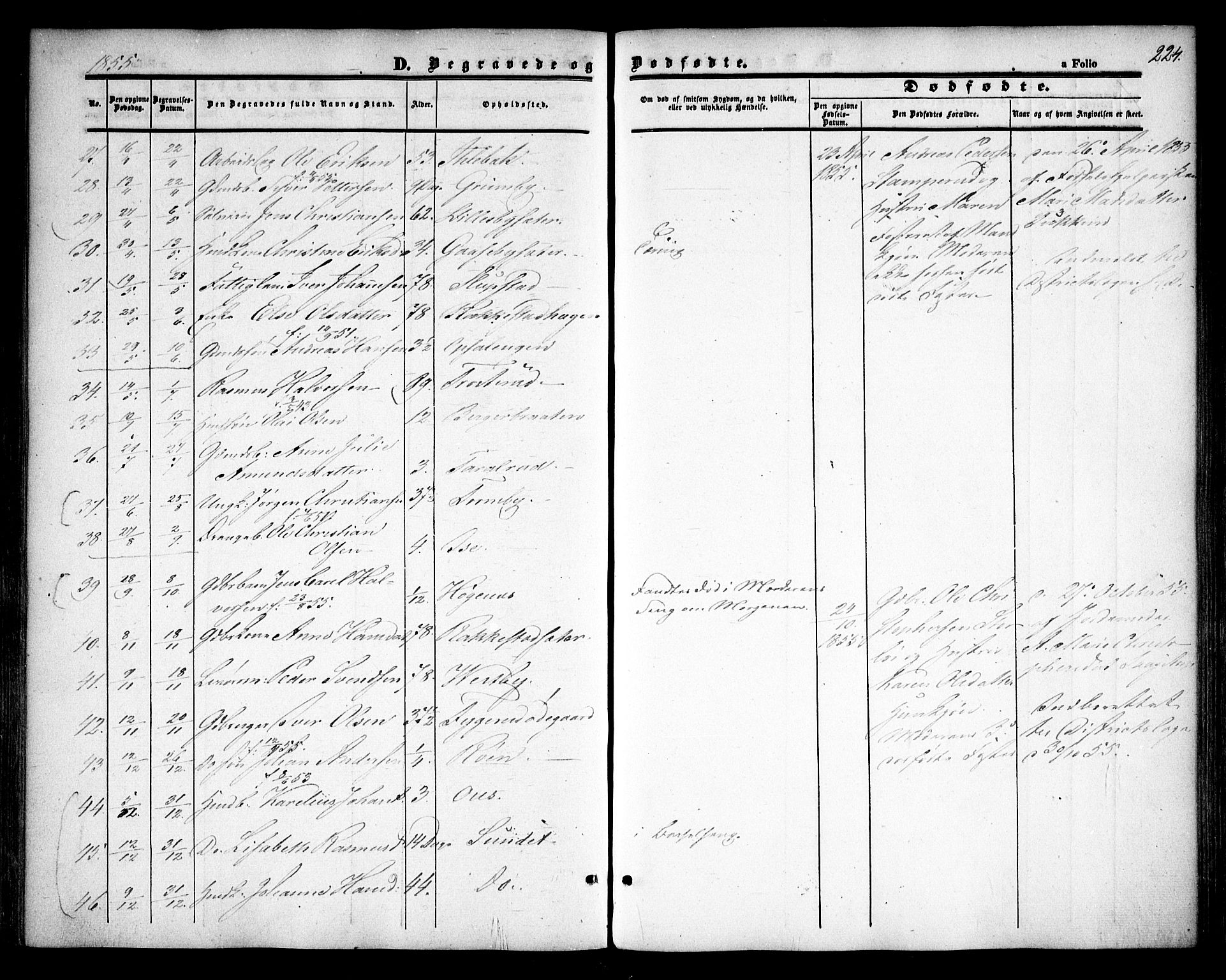 Rødenes prestekontor Kirkebøker, AV/SAO-A-2005/F/Fa/L0006: Parish register (official) no. I 6, 1850-1859, p. 224