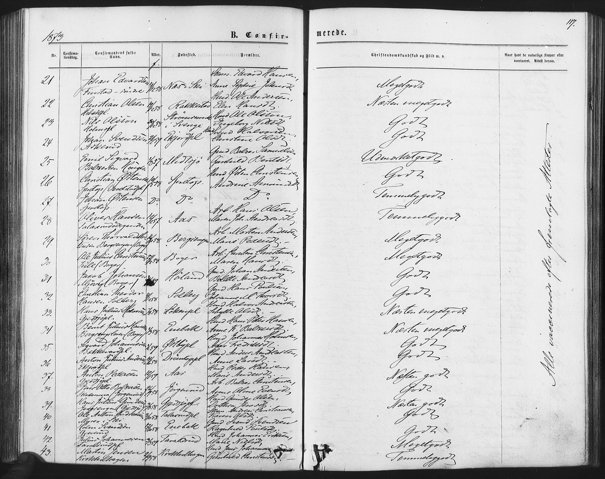 Kråkstad prestekontor Kirkebøker, AV/SAO-A-10125a/F/Fa/L0008: Parish register (official) no. I 8, 1870-1879, p. 117