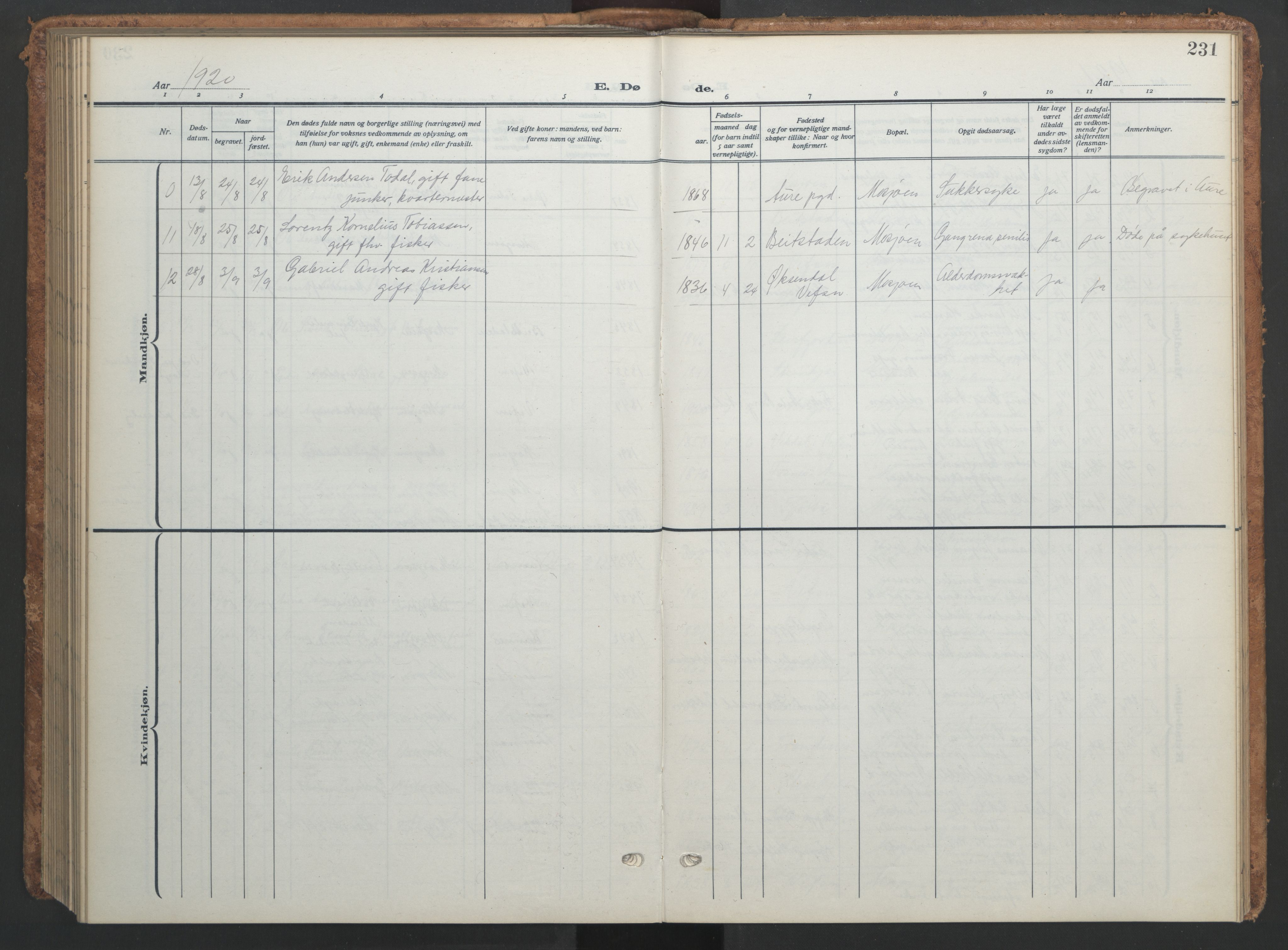 Ministerialprotokoller, klokkerbøker og fødselsregistre - Nordland, AV/SAT-A-1459/820/L0303: Parish register (copy) no. 820C05, 1917-1952, p. 231