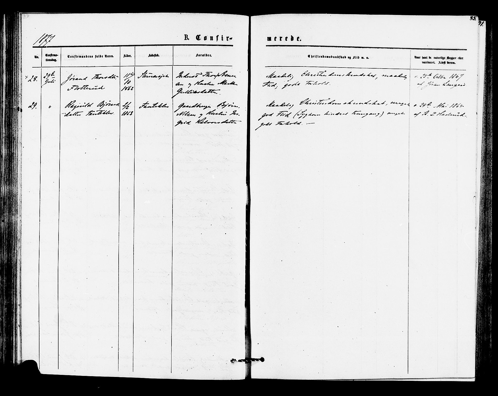 Rollag kirkebøker, AV/SAKO-A-240/F/Fa/L0010: Parish register (official) no. I 10, 1874-1877, p. 85