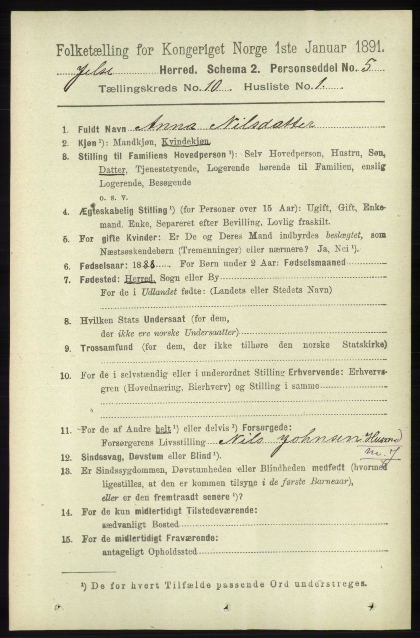 RA, 1891 census for 1138 Jelsa, 1891, p. 2431