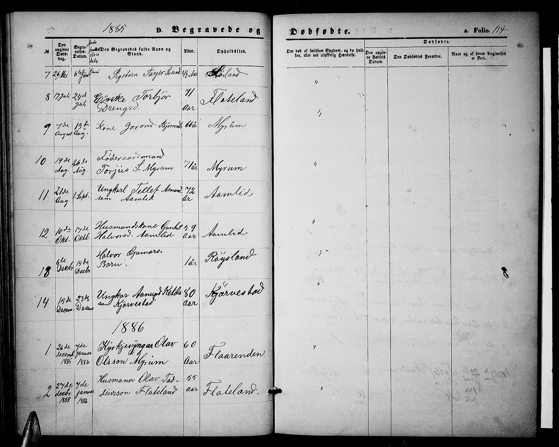 Valle sokneprestkontor, SAK/1111-0044/F/Fb/Fbc/L0003: Parish register (copy) no. B 3, 1871-1890, p. 114