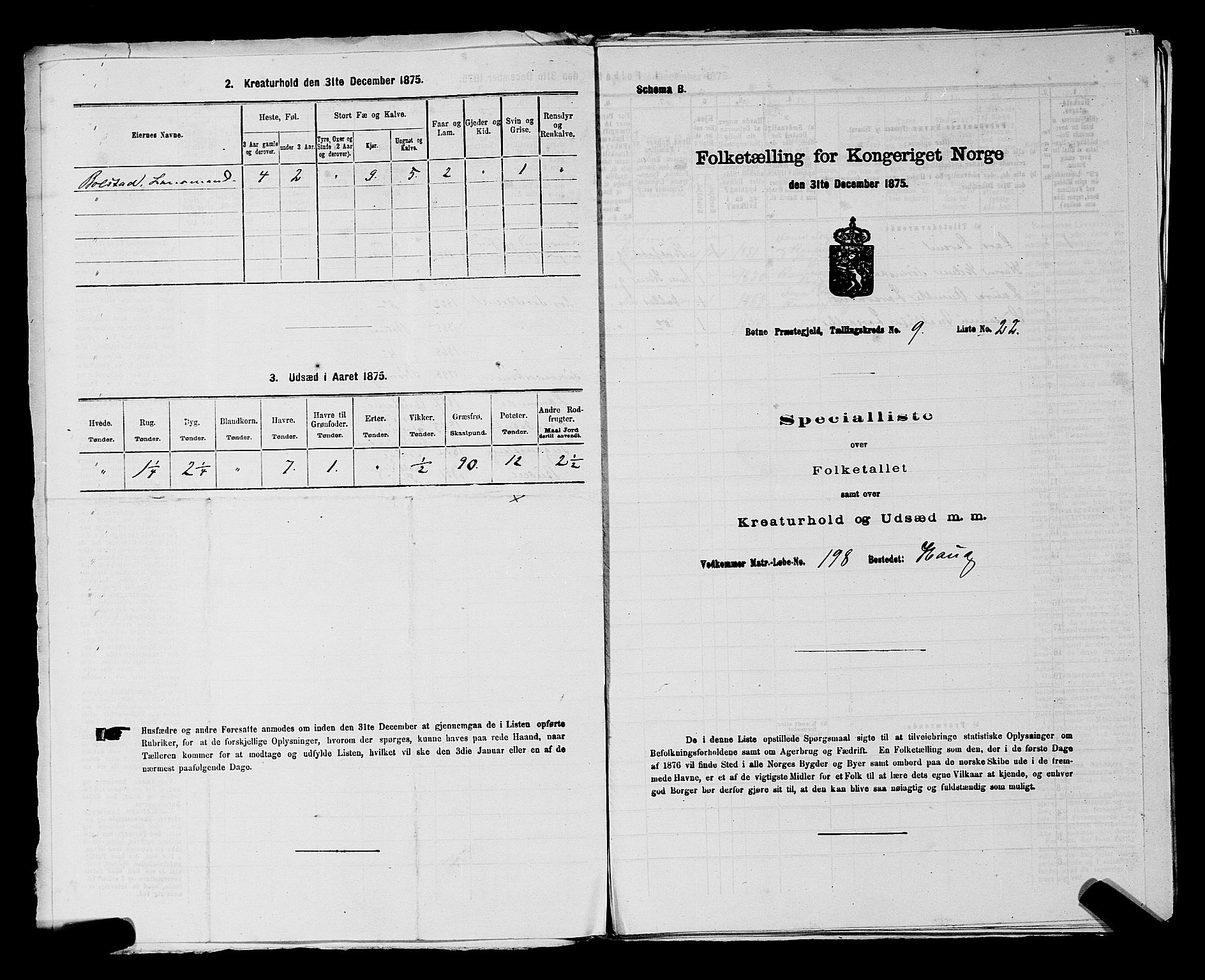 SAKO, 1875 census for 0715P Botne, 1875, p. 699